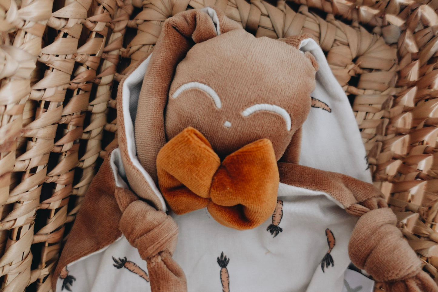 PROTOTYPE - Doudou Velours Chouchou - Carrots