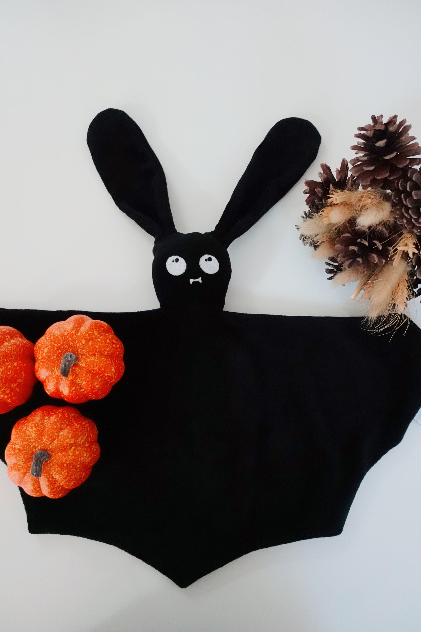 Chauve Lapin