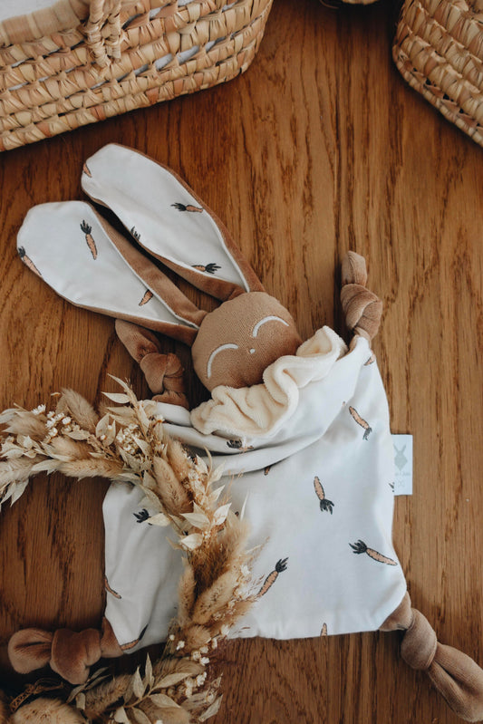 PROTOTYPE - Doudou Velours Chouchou - Carrots