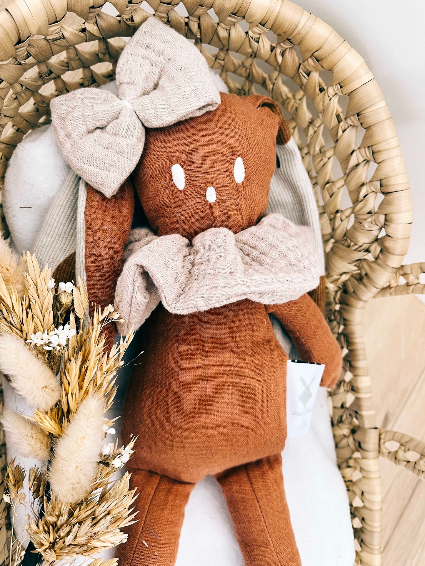 PROTOTYPE - Peluche - Apple