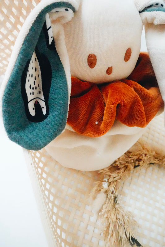 PROTOTYPE - Bouillotte noyaux de cerise Velours - Pingouins