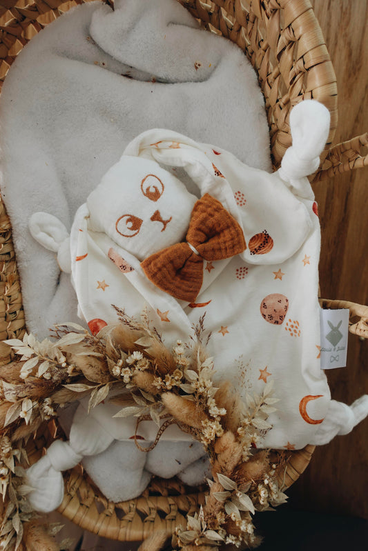 PROTOTYPE - Doudou Lange Chouchou - Planètes