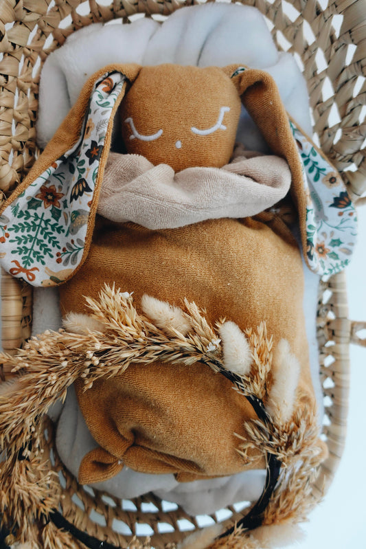 PROTOTYPE - Bouillotte noyaux de cerise Eponge - Renne