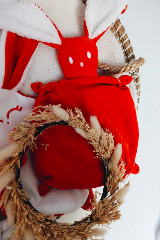 PROTOTYPE - Bouillotte noyaux de cerise Velours - Noël Moumoute