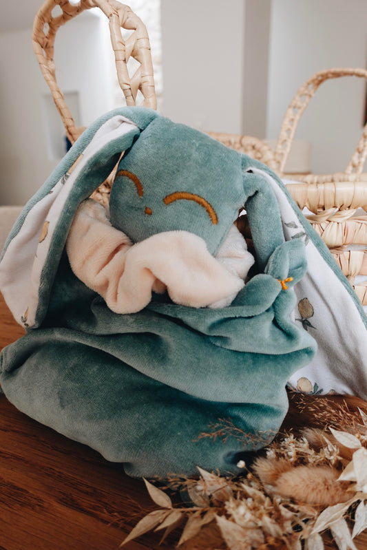 PROTOTYPE - Bouillotte noyaux de cerise Velours - Lemons