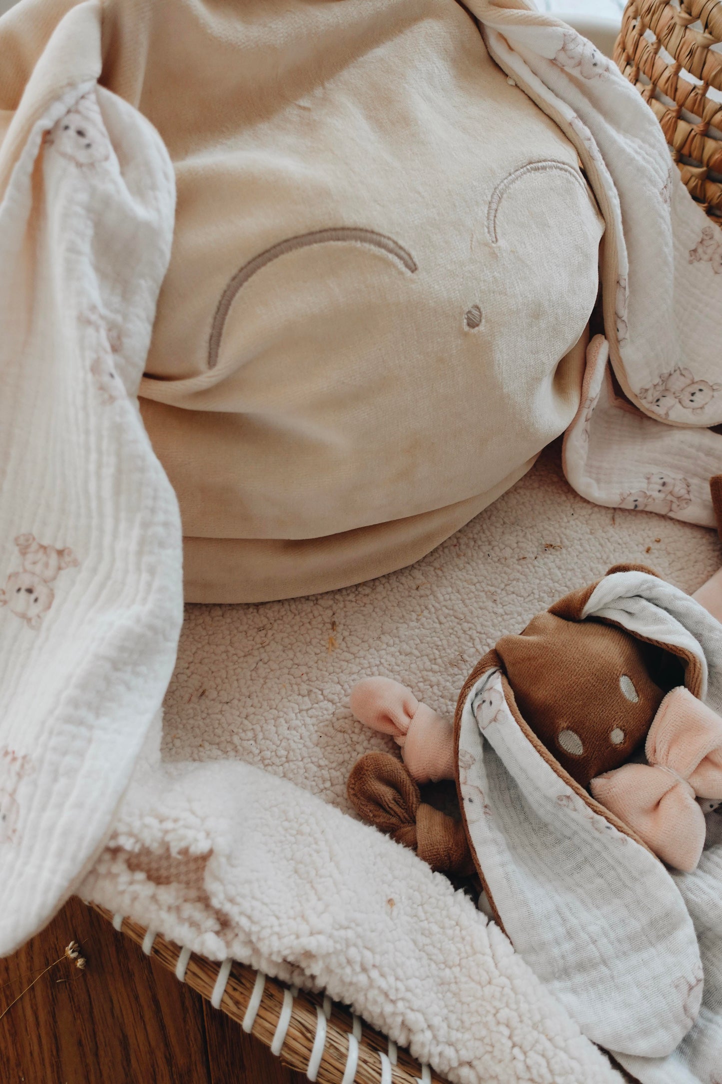 Petit Coussin Velours - Little Bears