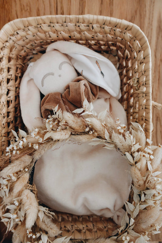 PROTOTYPE - Bouillotte noyaux de cerise velours - Carrots