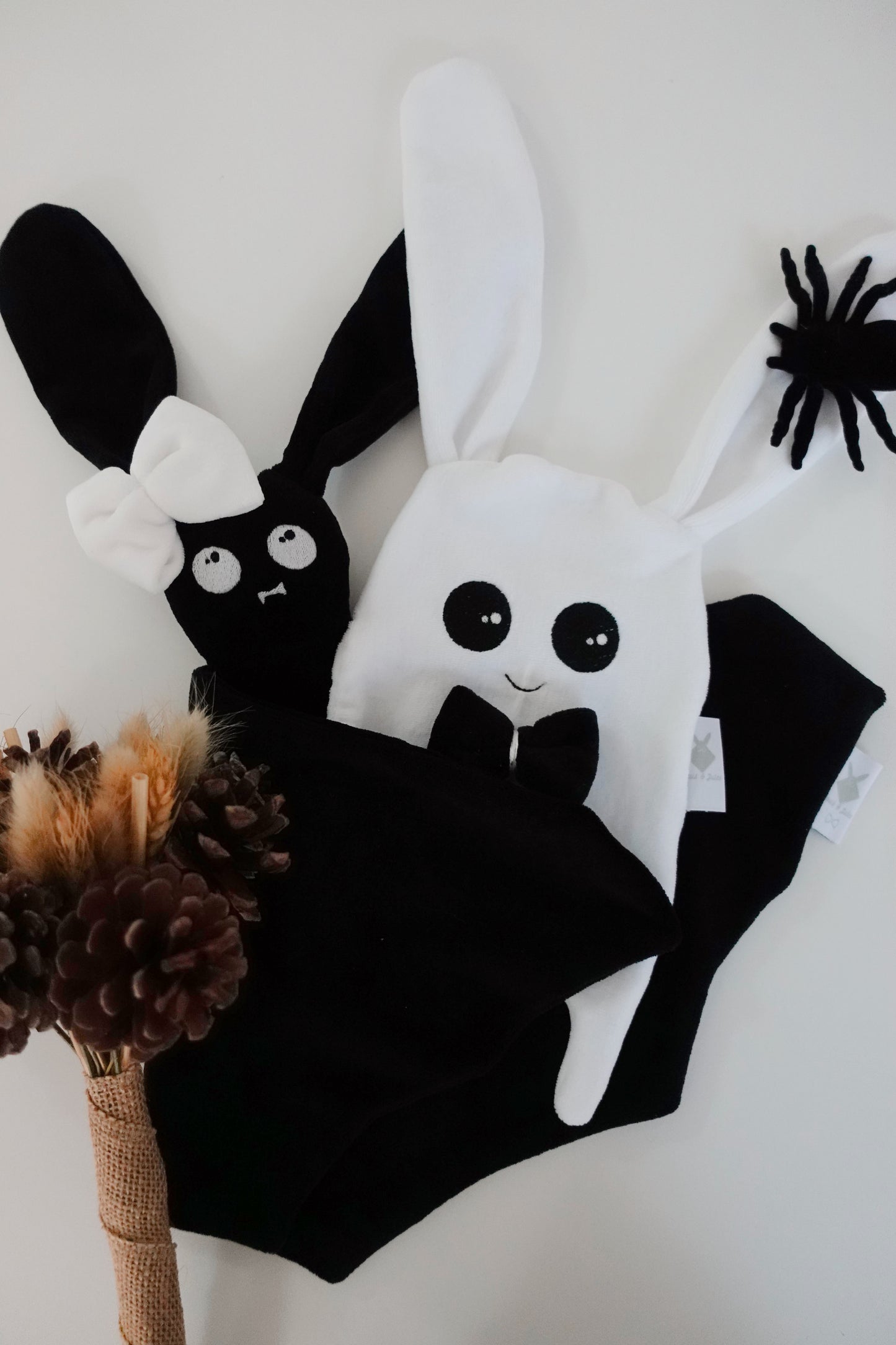 Chauve Lapin