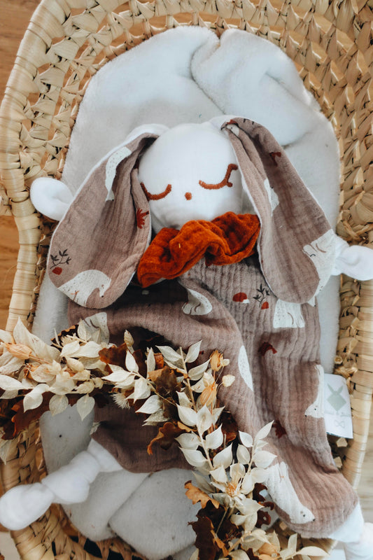 Doudou Lange Chouchou - Mocha bears