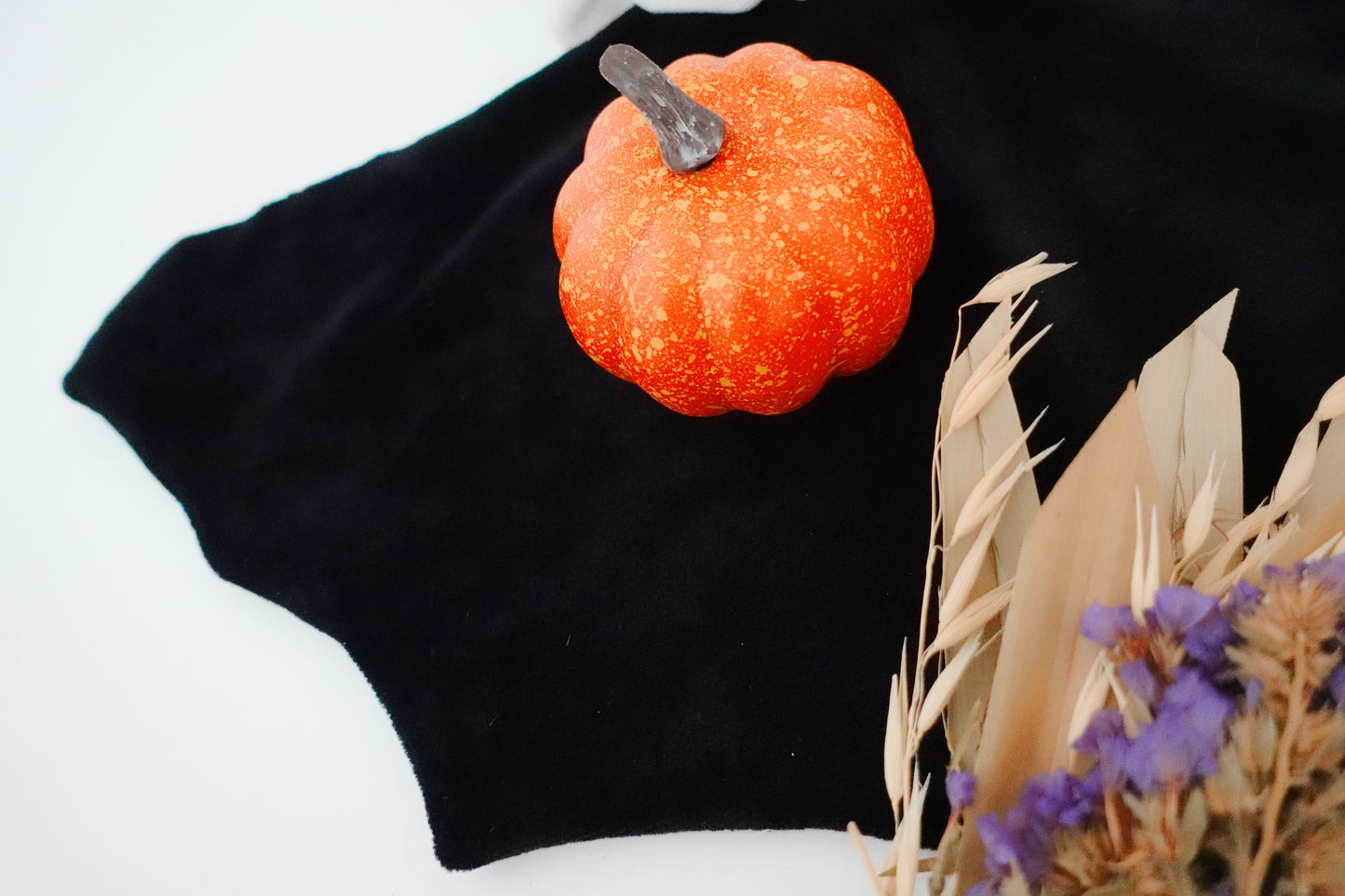 PROTOTYPE - Chauve Lapin