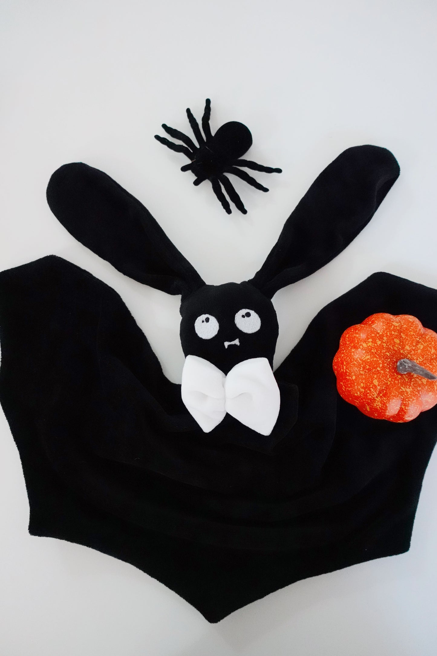 Chauve Lapin