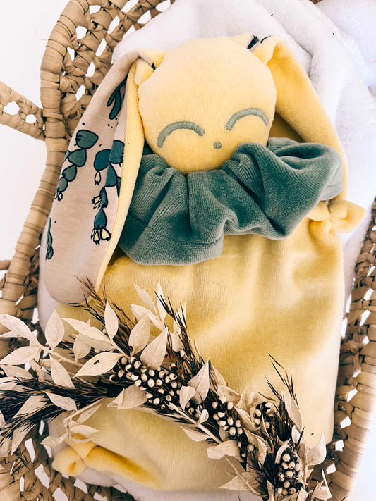 Bouillotte noyaux de cerise velours - Cactus