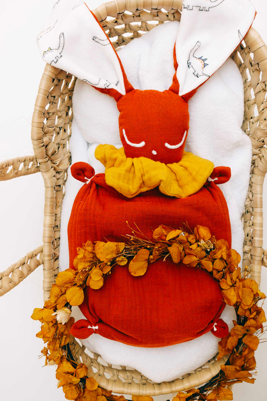 Bouillotte noyaux de cerise Lange - Poppy Dino