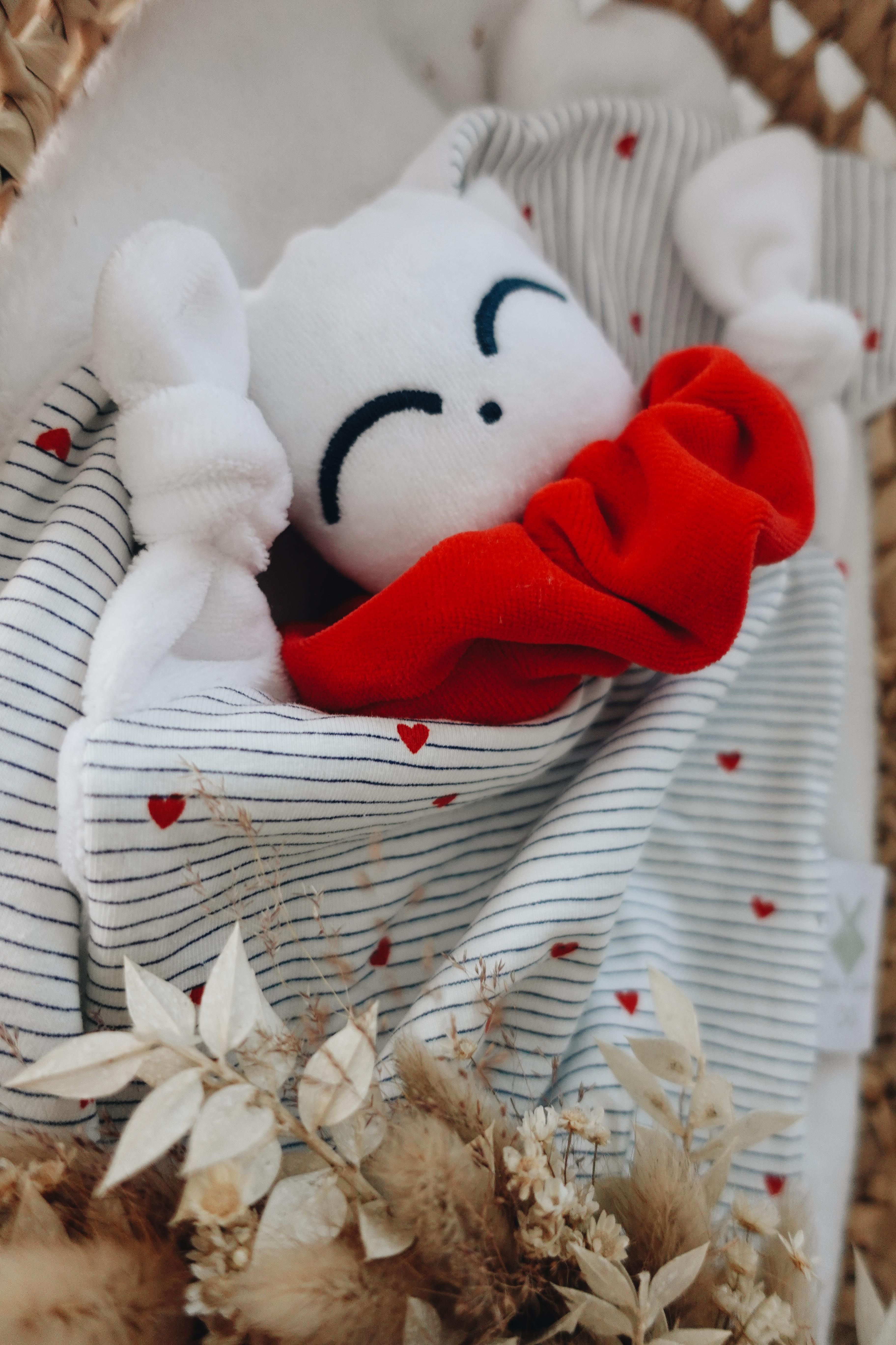 PROTOTYPE - Doudou Velours Chouchou - France