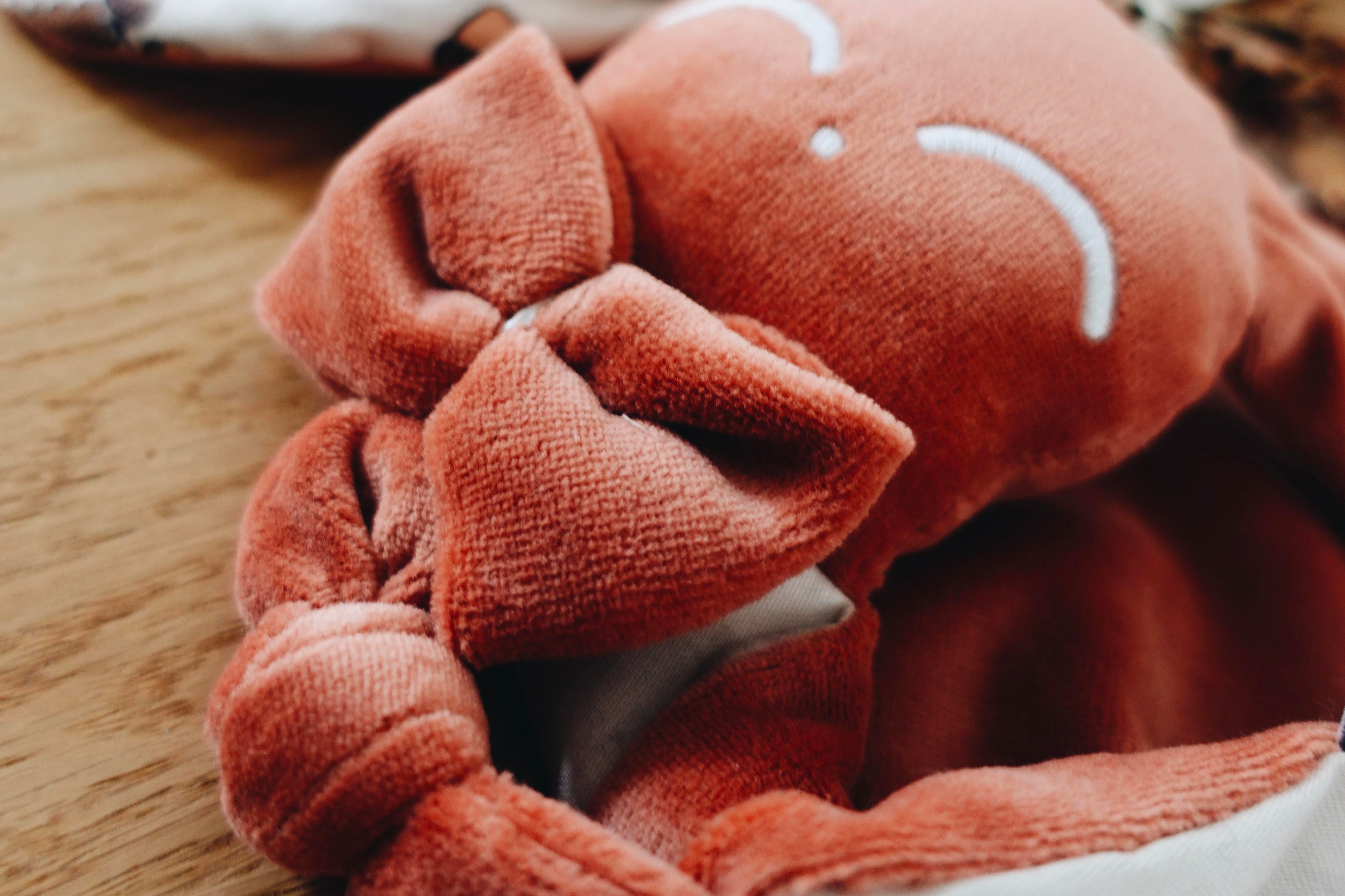 PROTOTYPE - Doudou Velours Chouchou - Ecureuil