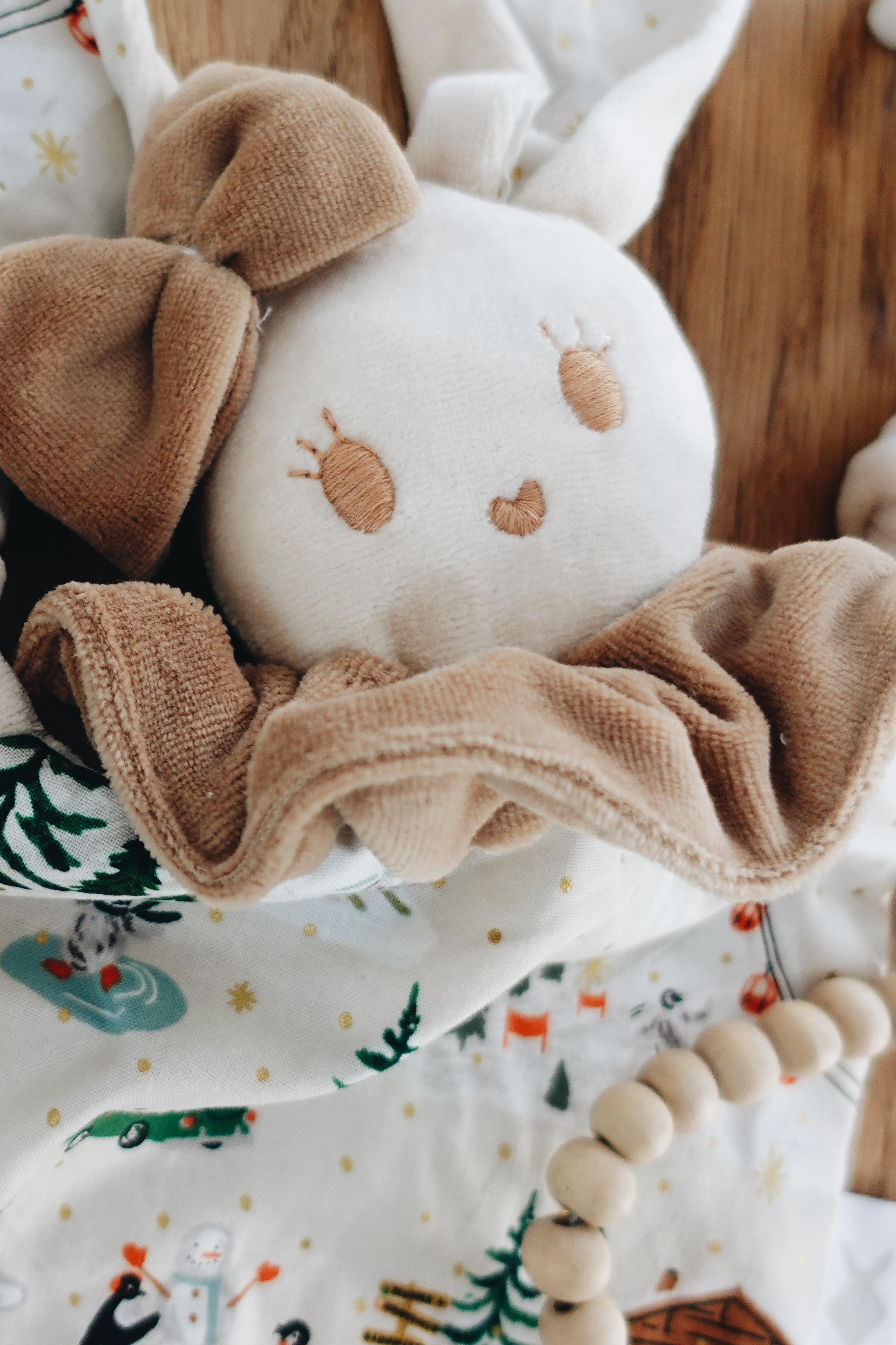 PROTOTYPE - Doudou Velours Chouchou - Penguin Village