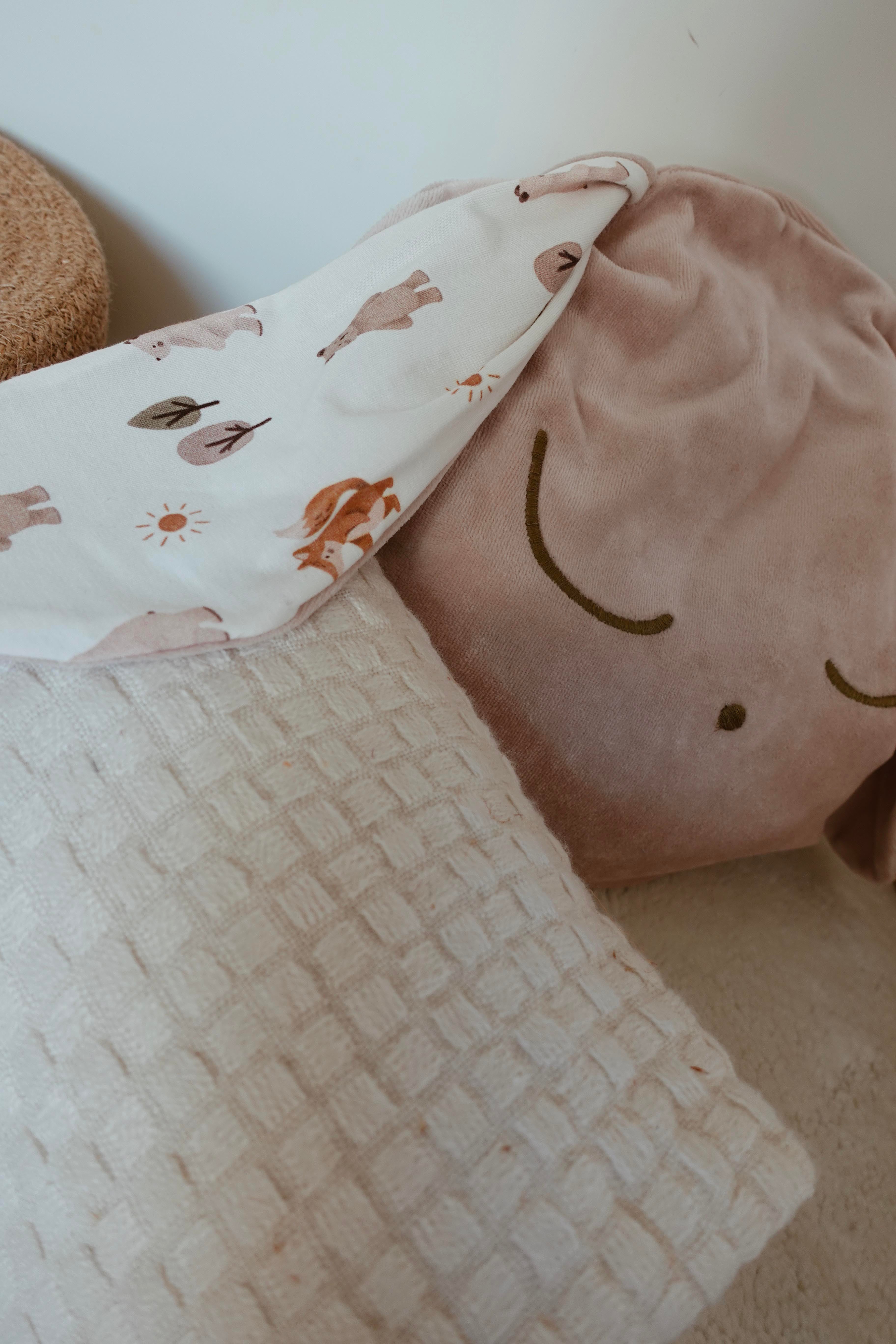 Petit Coussin Velours - Sweet Friends