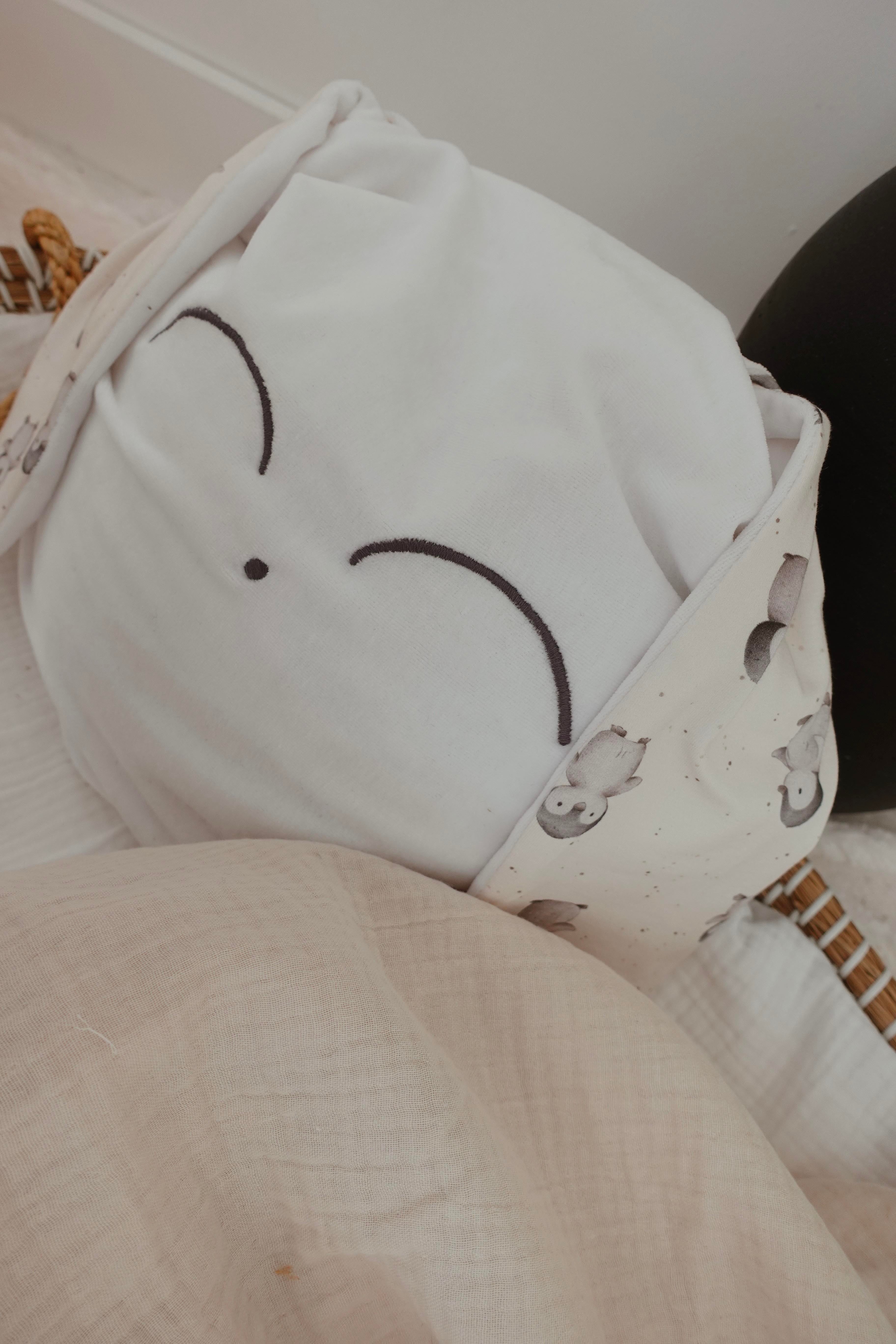 Petit Coussin Velours - Pinguins