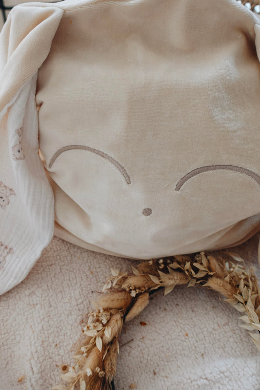 Petit Coussin Velours - Little Bears