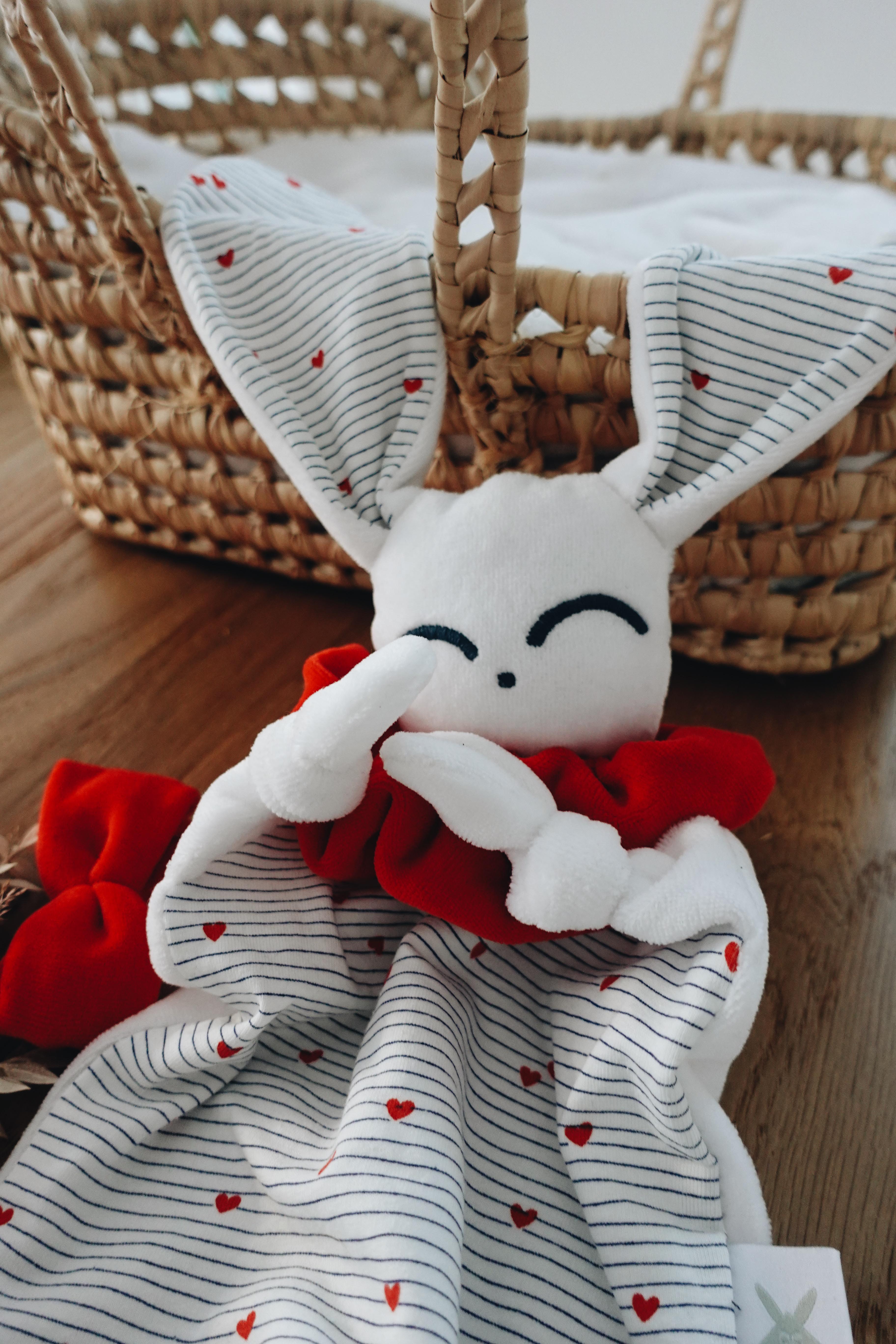 PROTOTYPE - Doudou Velours Chouchou - France