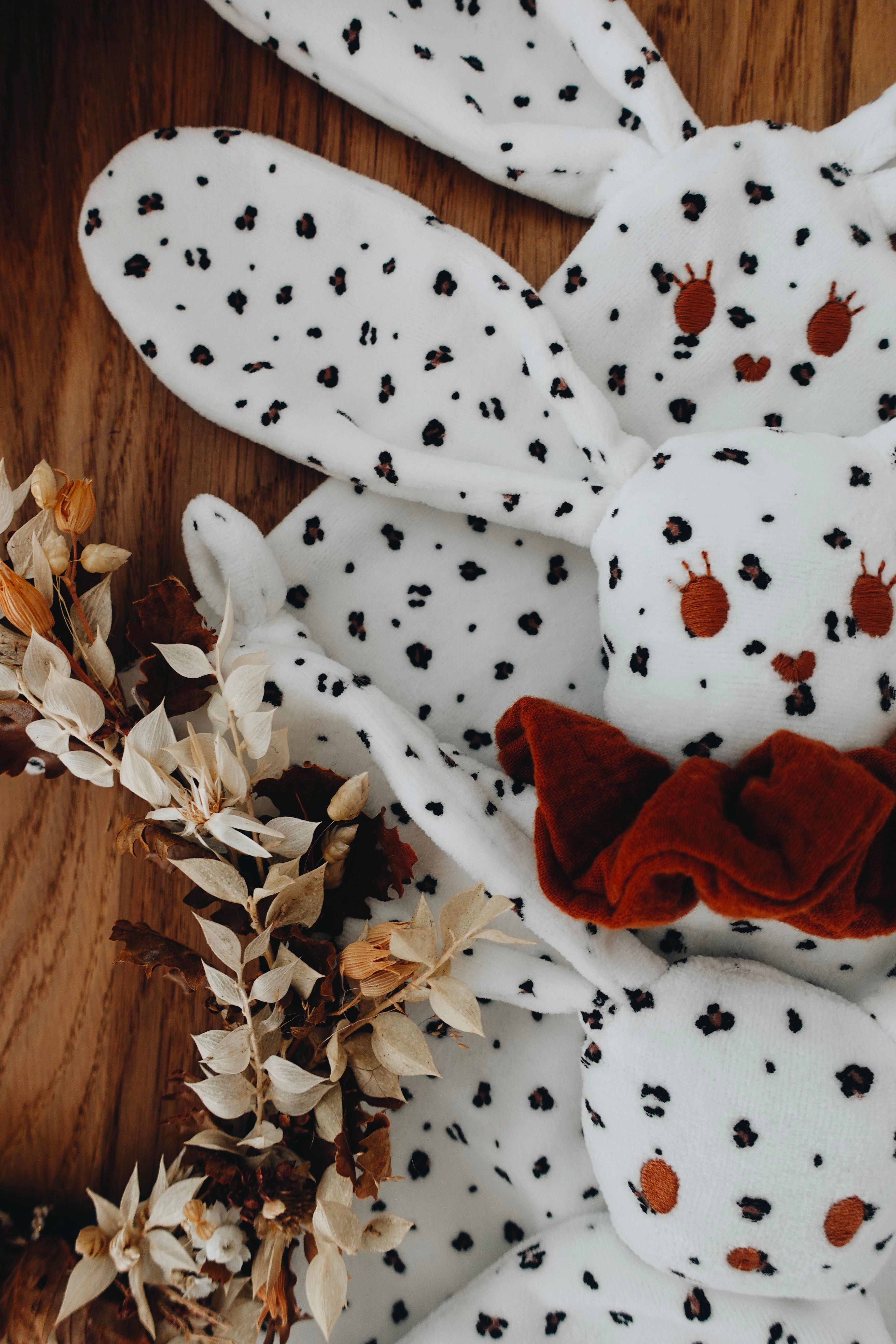 PROTOTYPE - Doudou Velours Chouchou - Graou