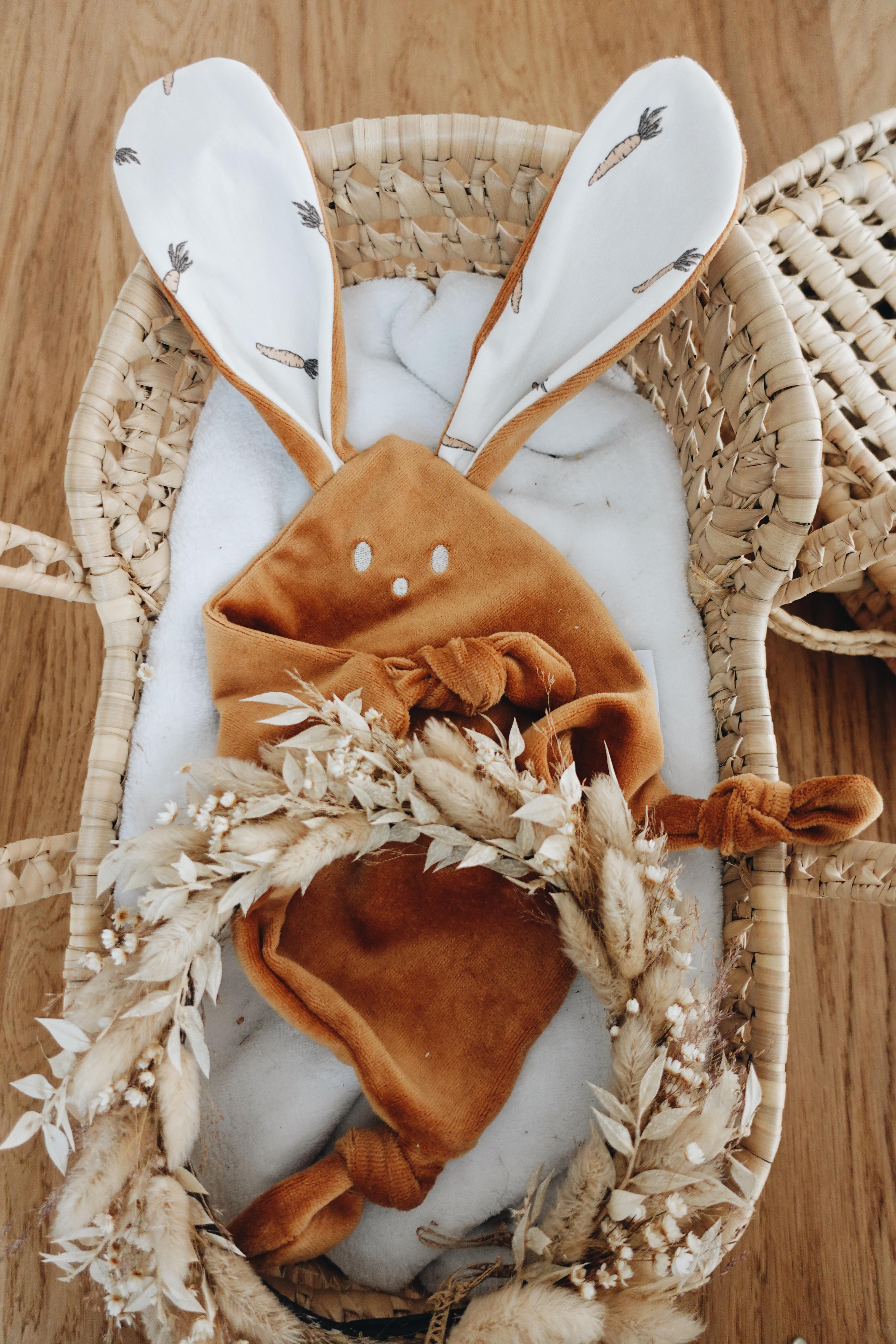 PROTOTYPE - Doudou Velours Mini Noeuds - Carrots