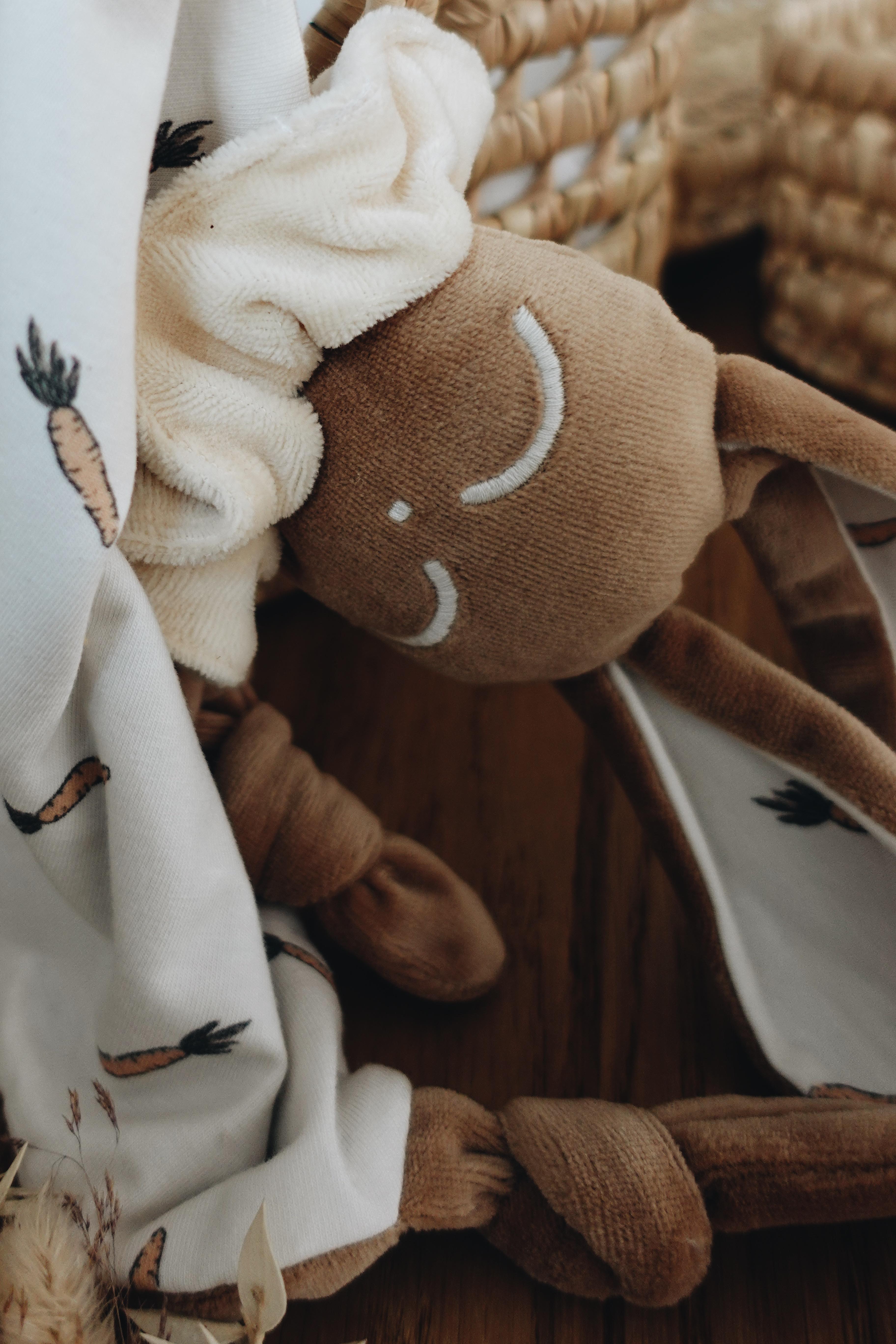 PROTOTYPE - Doudou Velours Chouchou - Carrots