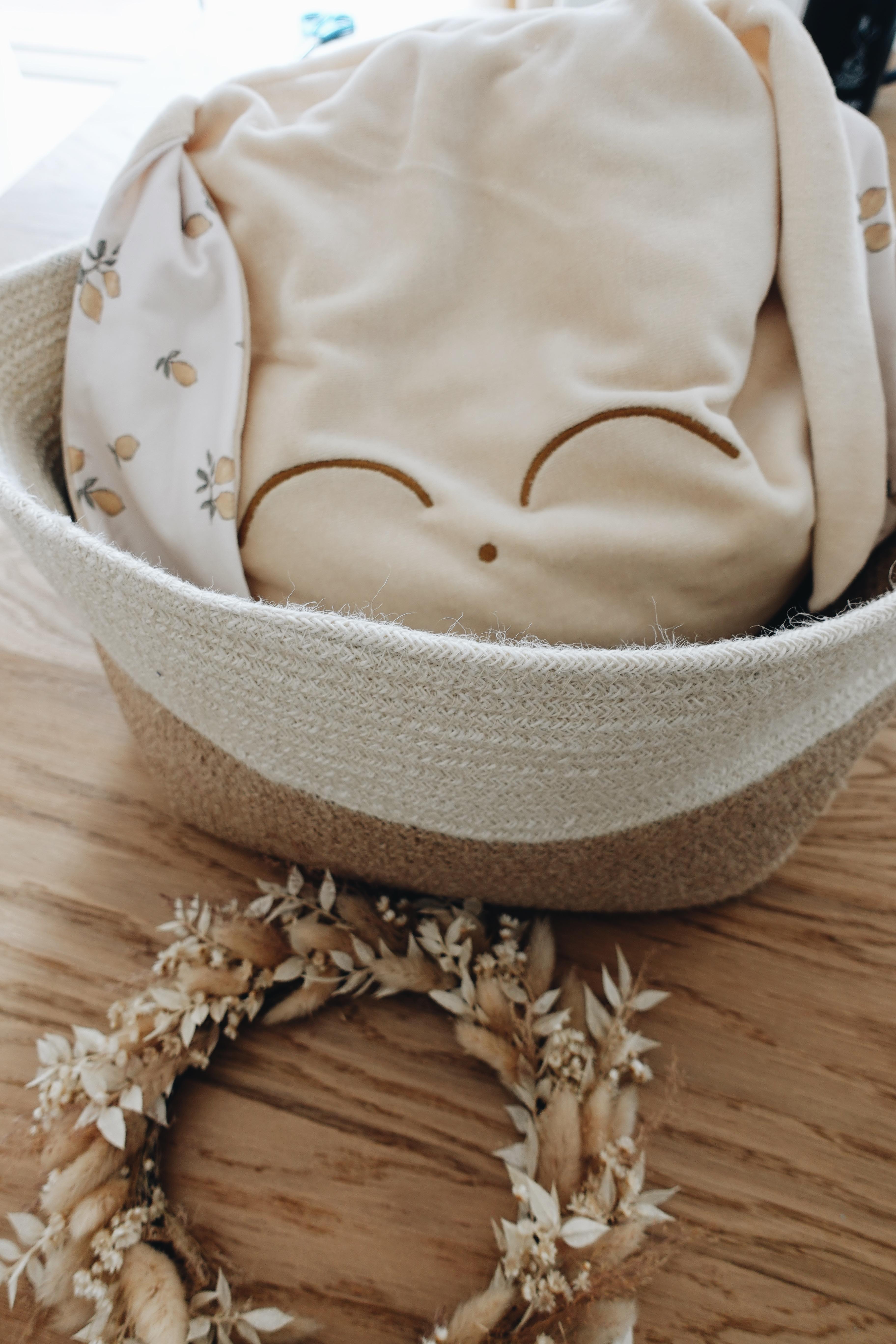 Petit Coussin Velours - Lemons