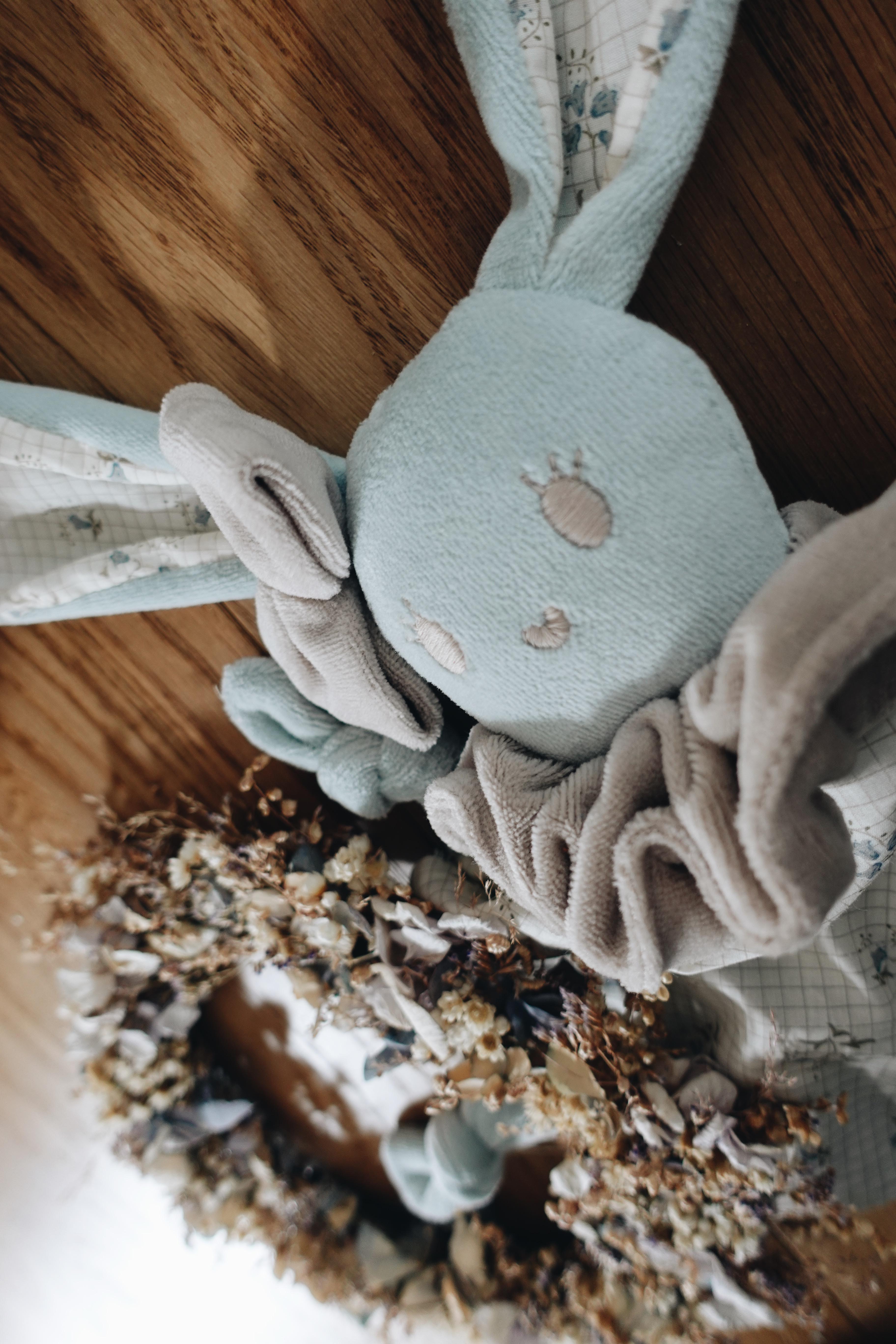 PROTOTYPE - Doudou Velours Chouchou - Bristol