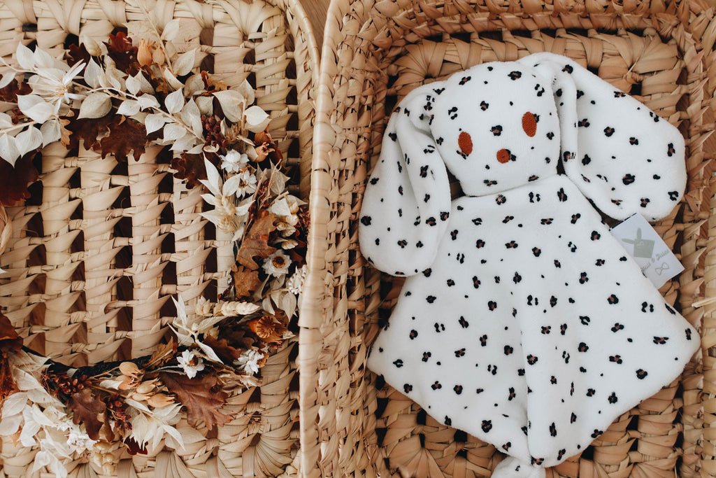 PROTOTYPE - Bébé Doudou Velours - Graou