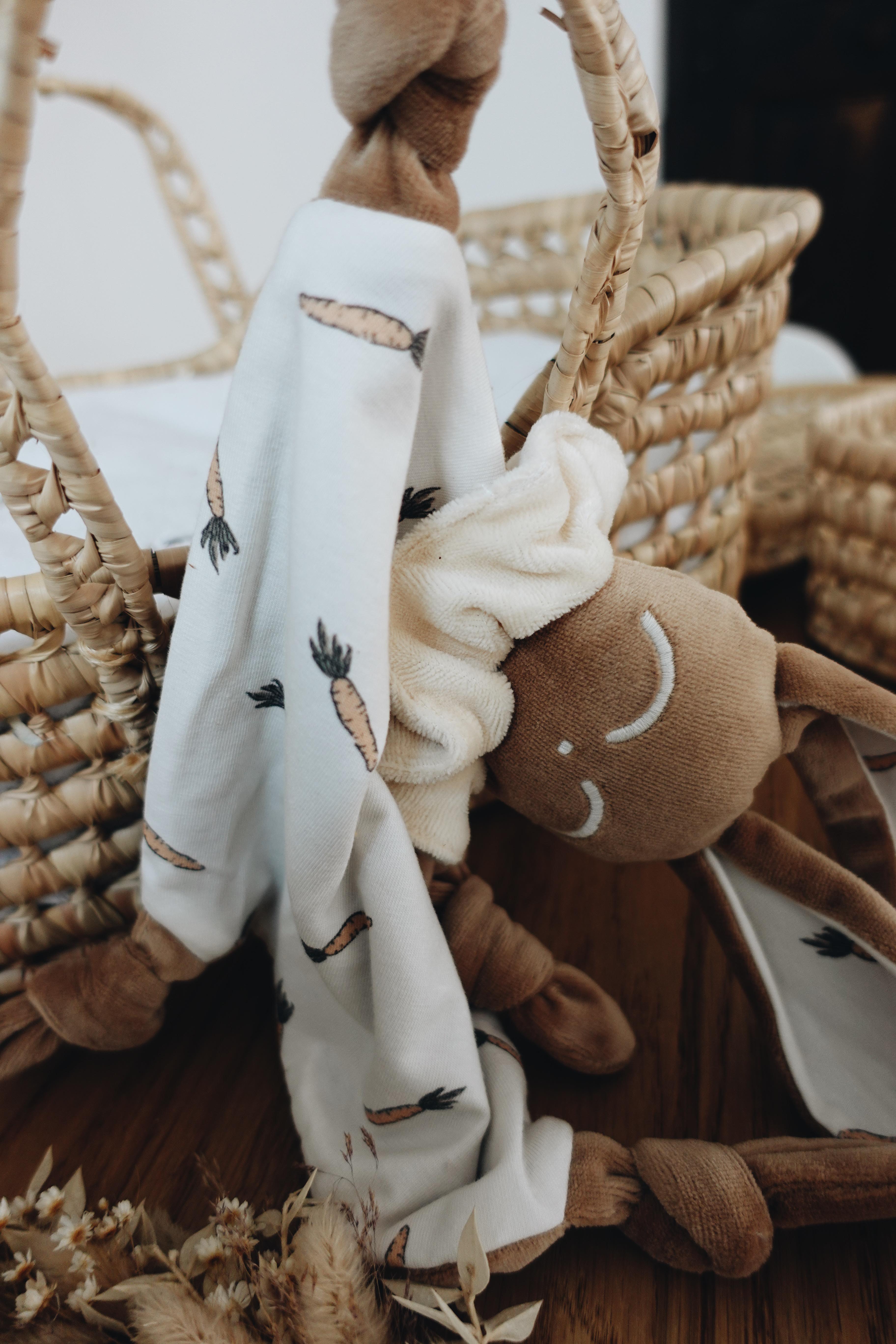 PROTOTYPE - Doudou Velours Chouchou - Carrots