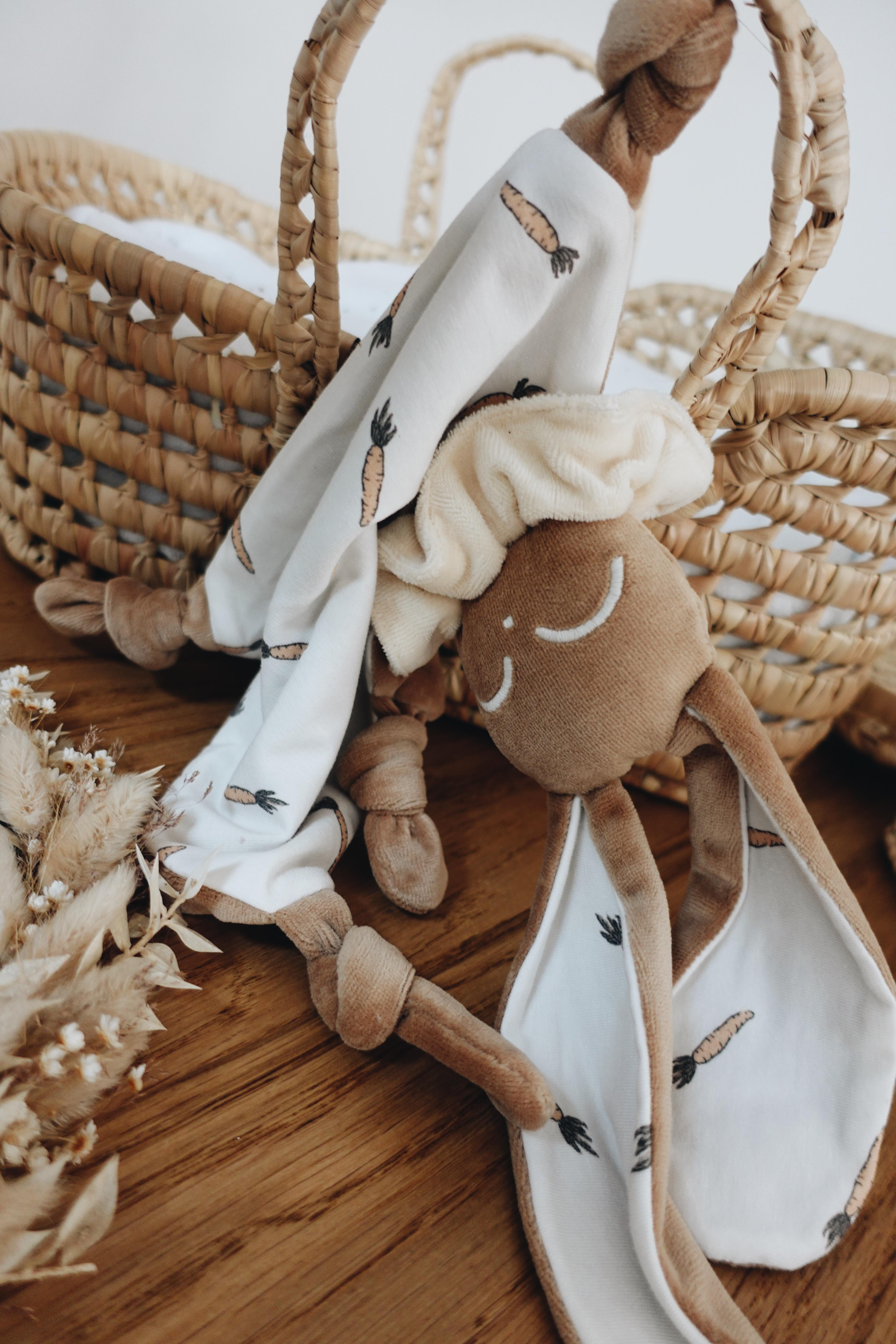 PROTOTYPE - Doudou Velours Chouchou - Carrots