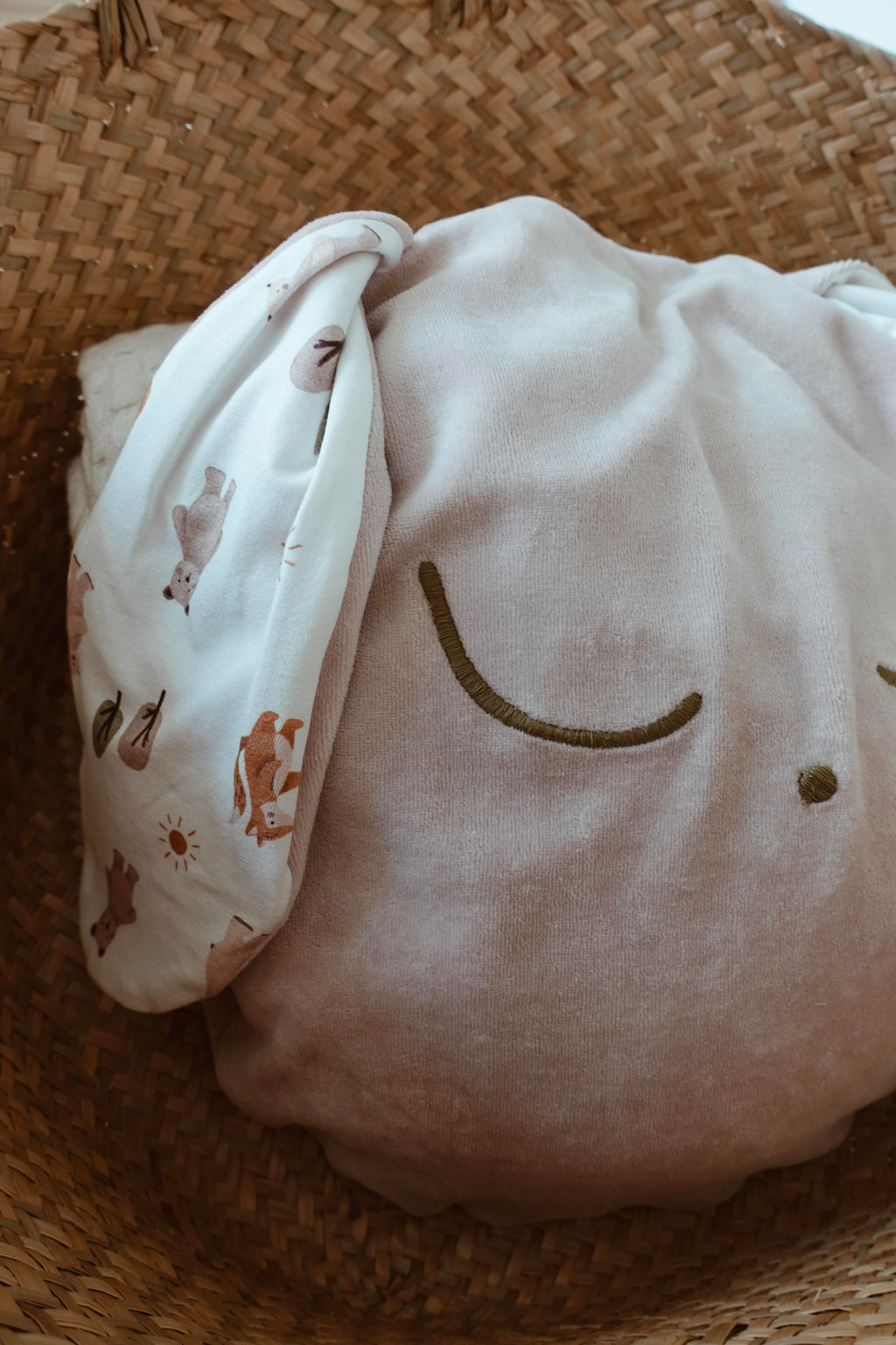 Petit Coussin Velours - Sweet Friends