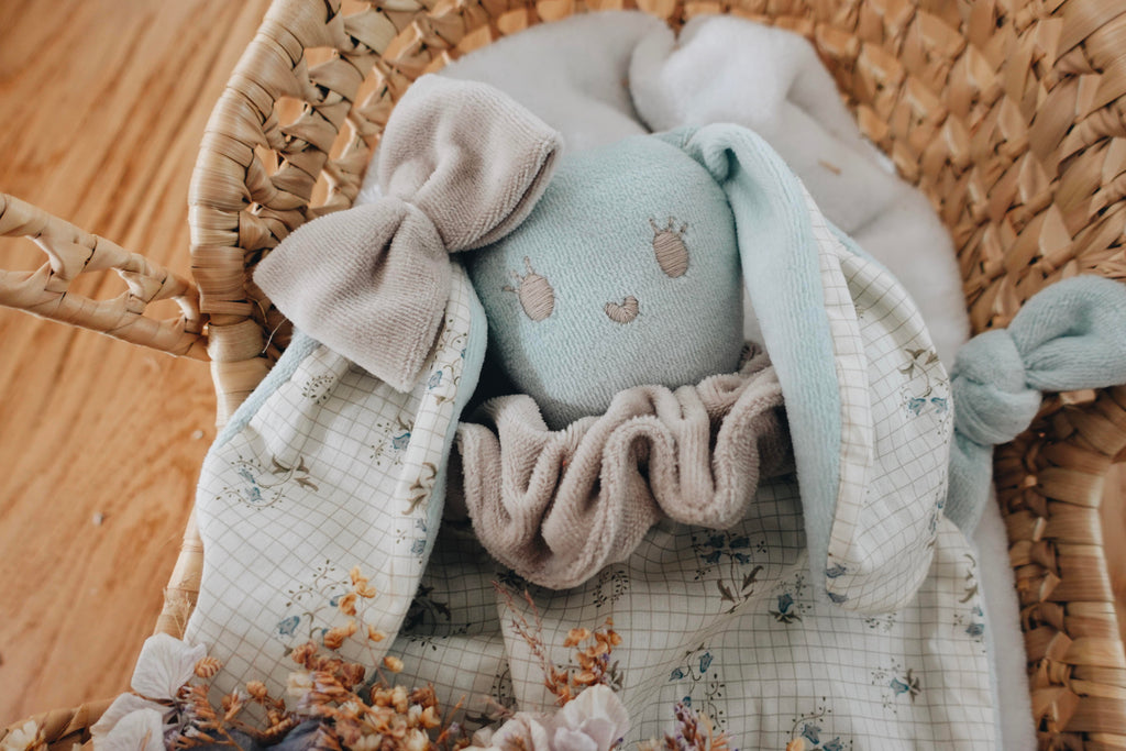 PROTOTYPE - Doudou Velours Chouchou - Bristol