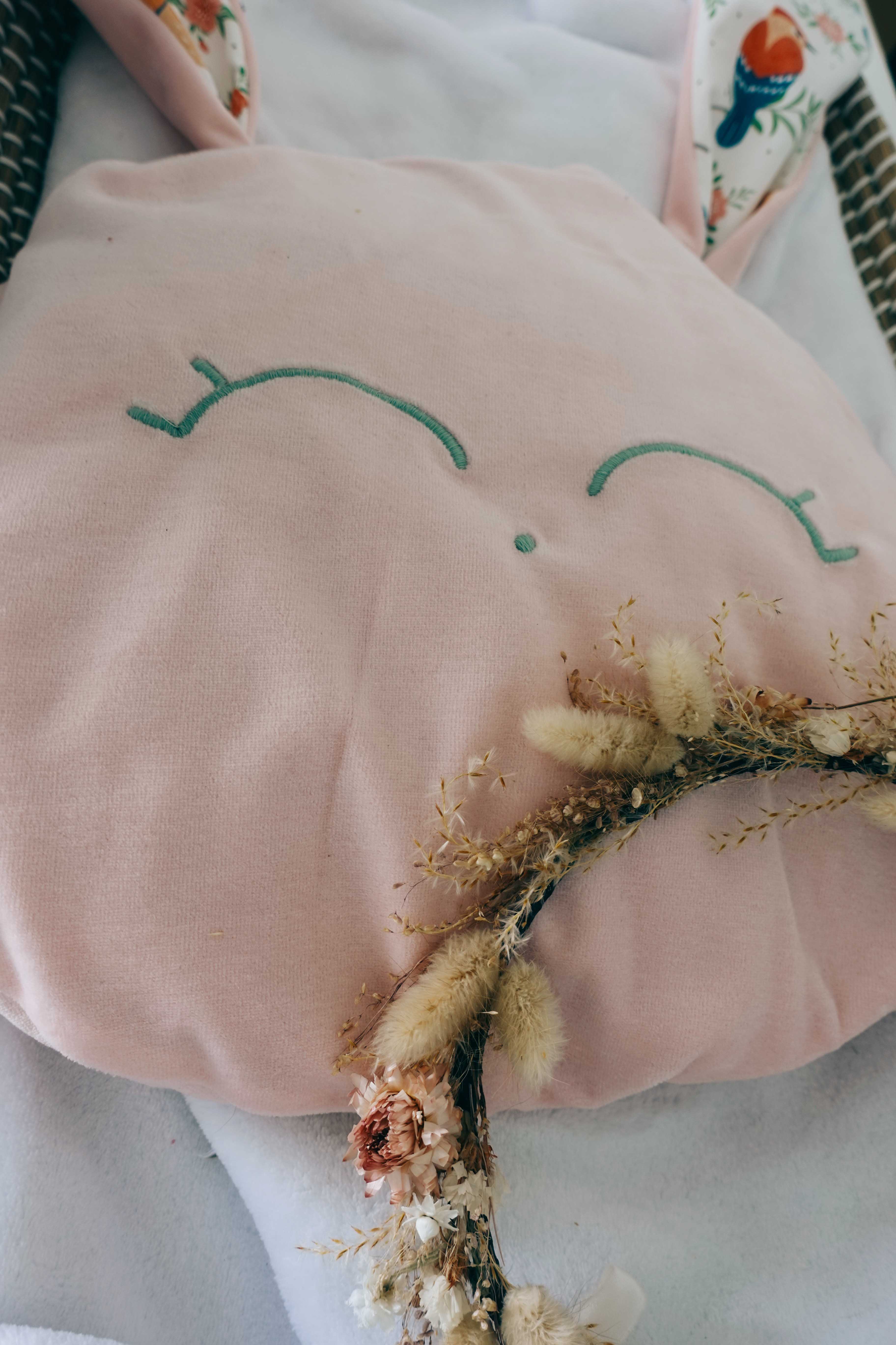 Petit Coussin Velours - Singing Birds