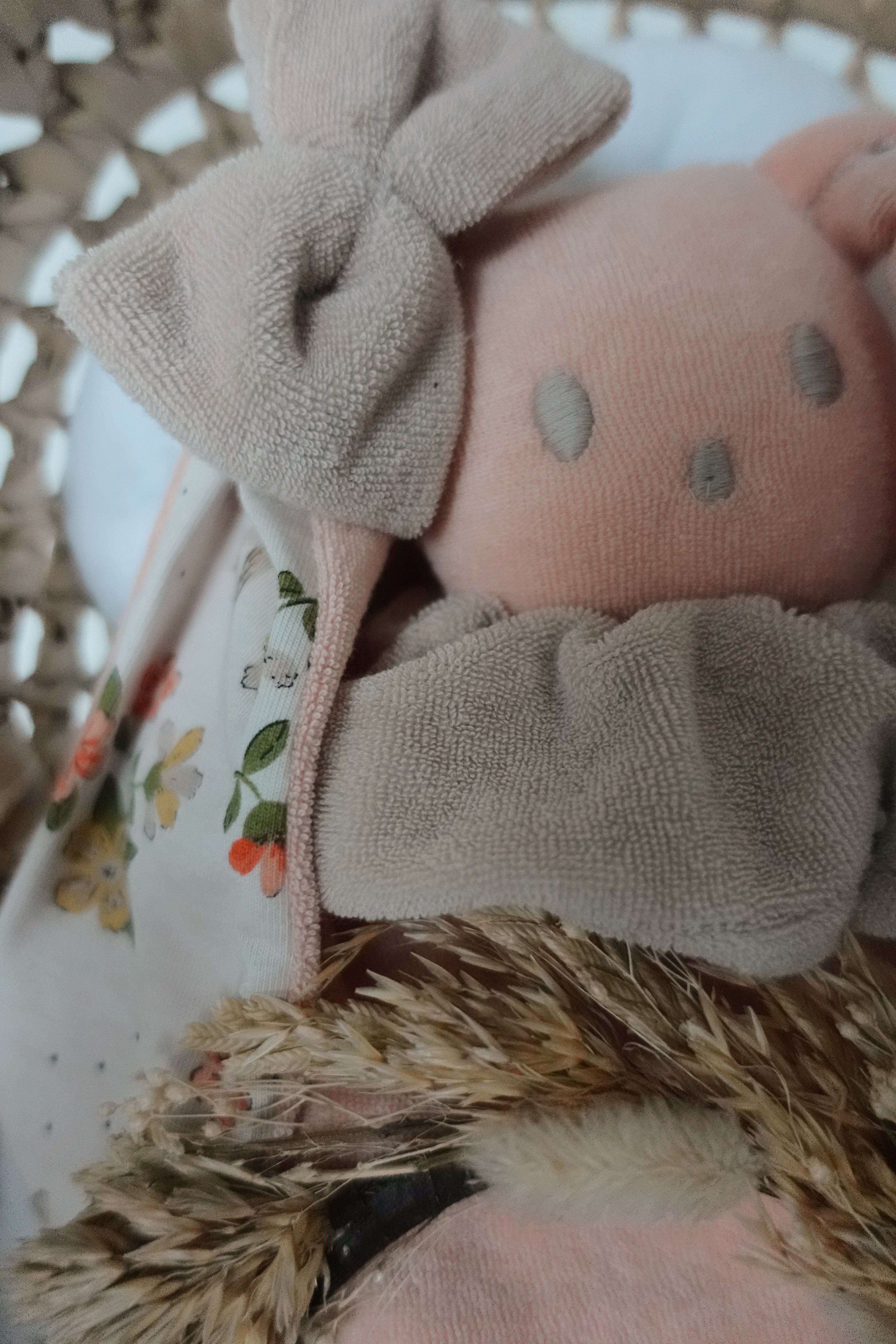 Bouillotte noyaux de cerise Eponge - Oisillons