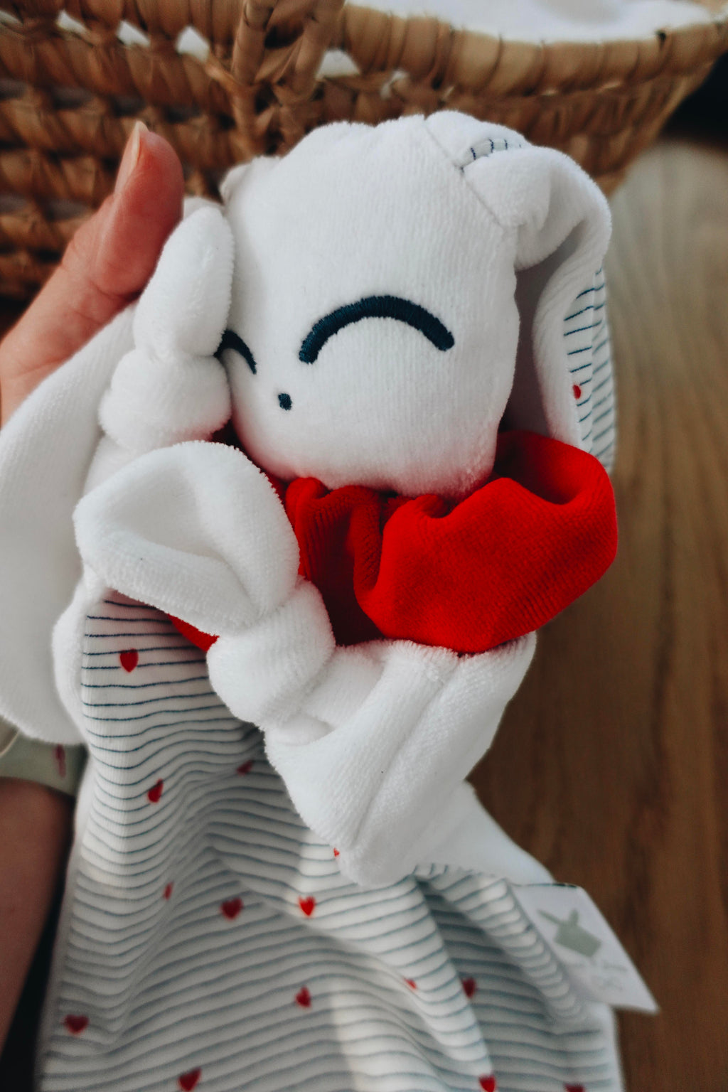 PROTOTYPE - Doudou Velours Chouchou - France