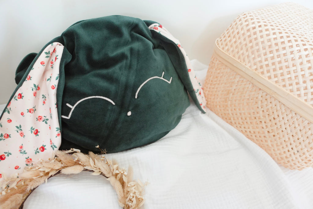 Petit Coussin Velours - Pink Roses