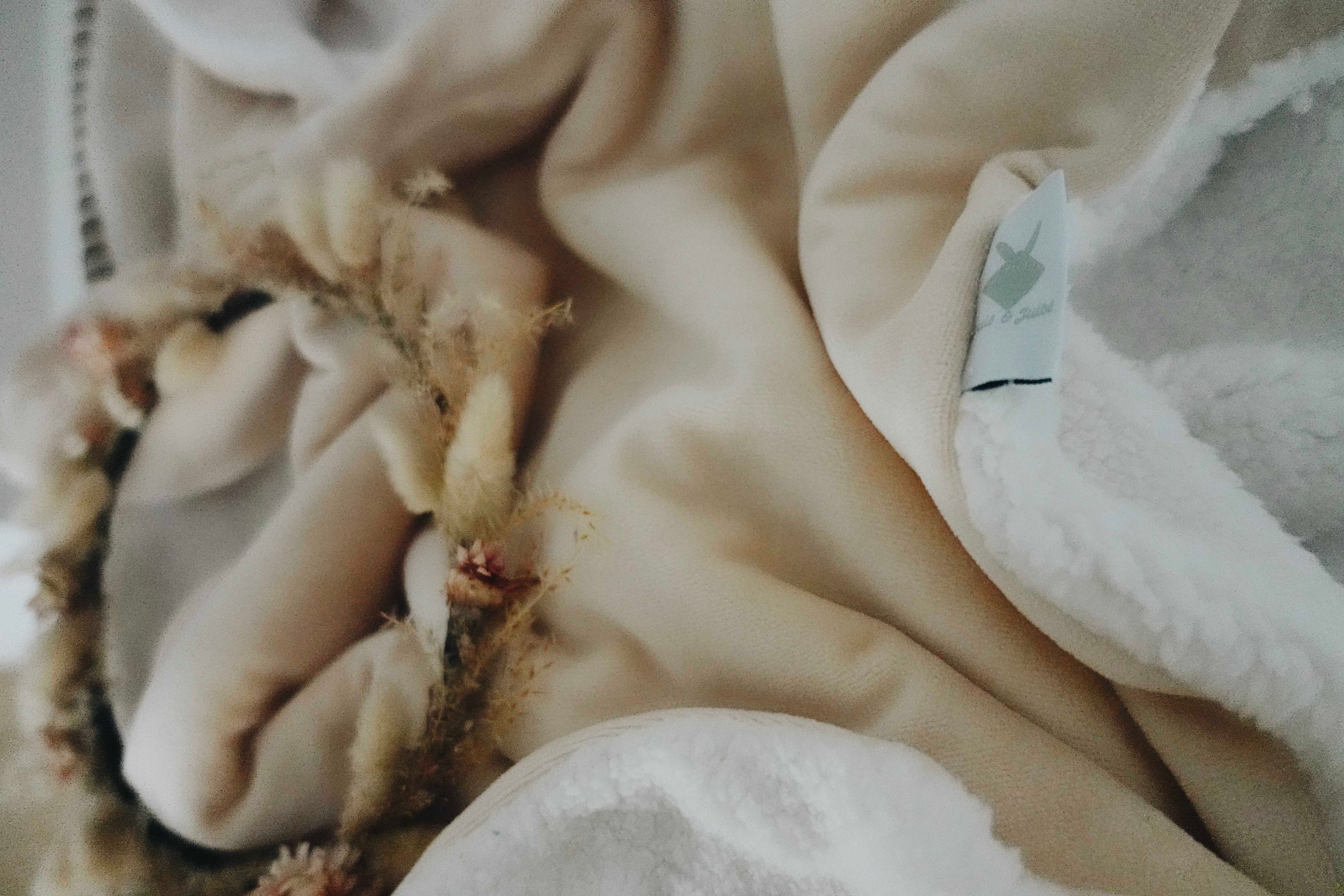 Poncho - Flamands Rose