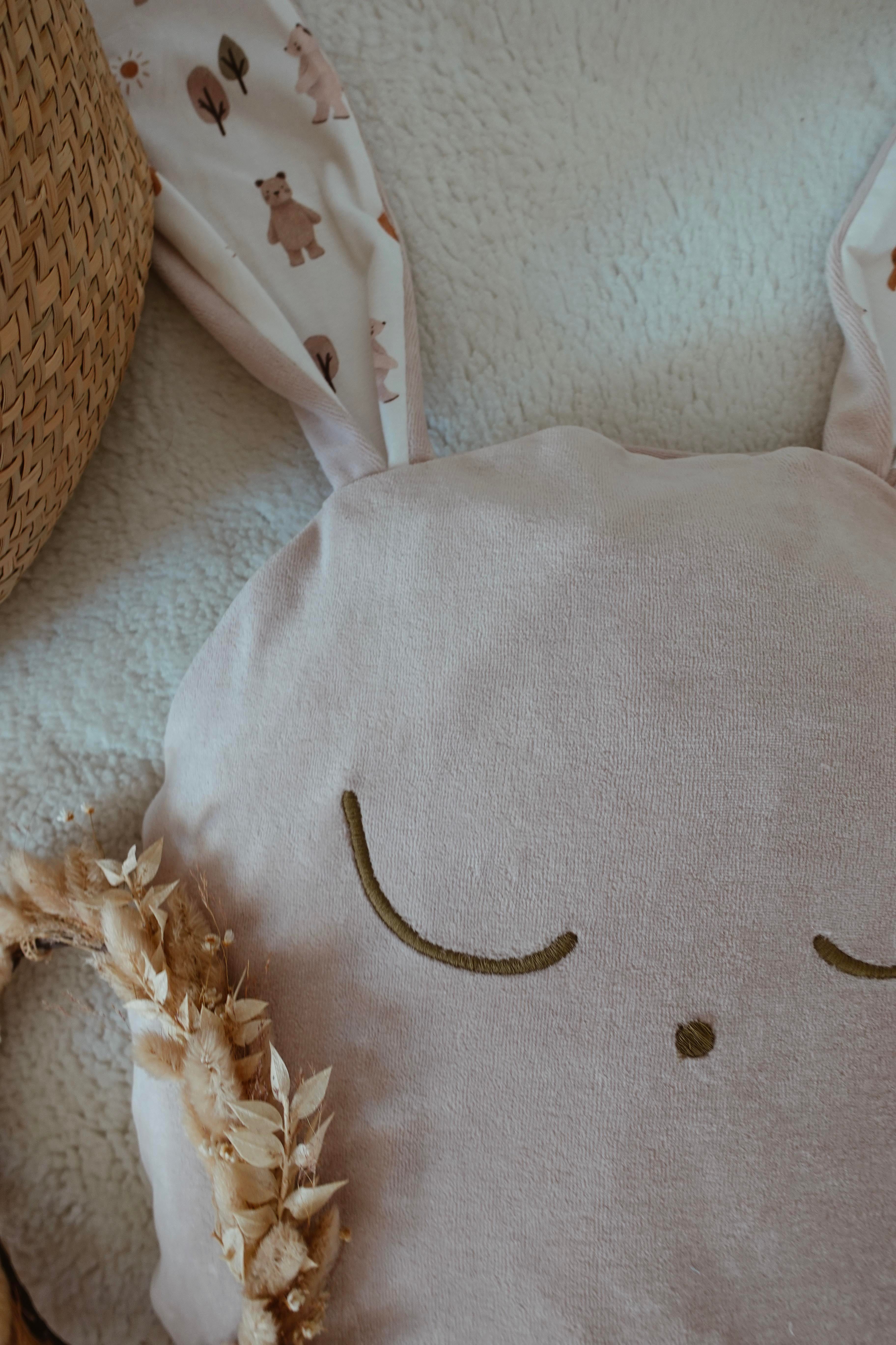 Petit Coussin Velours - Sweet Friends