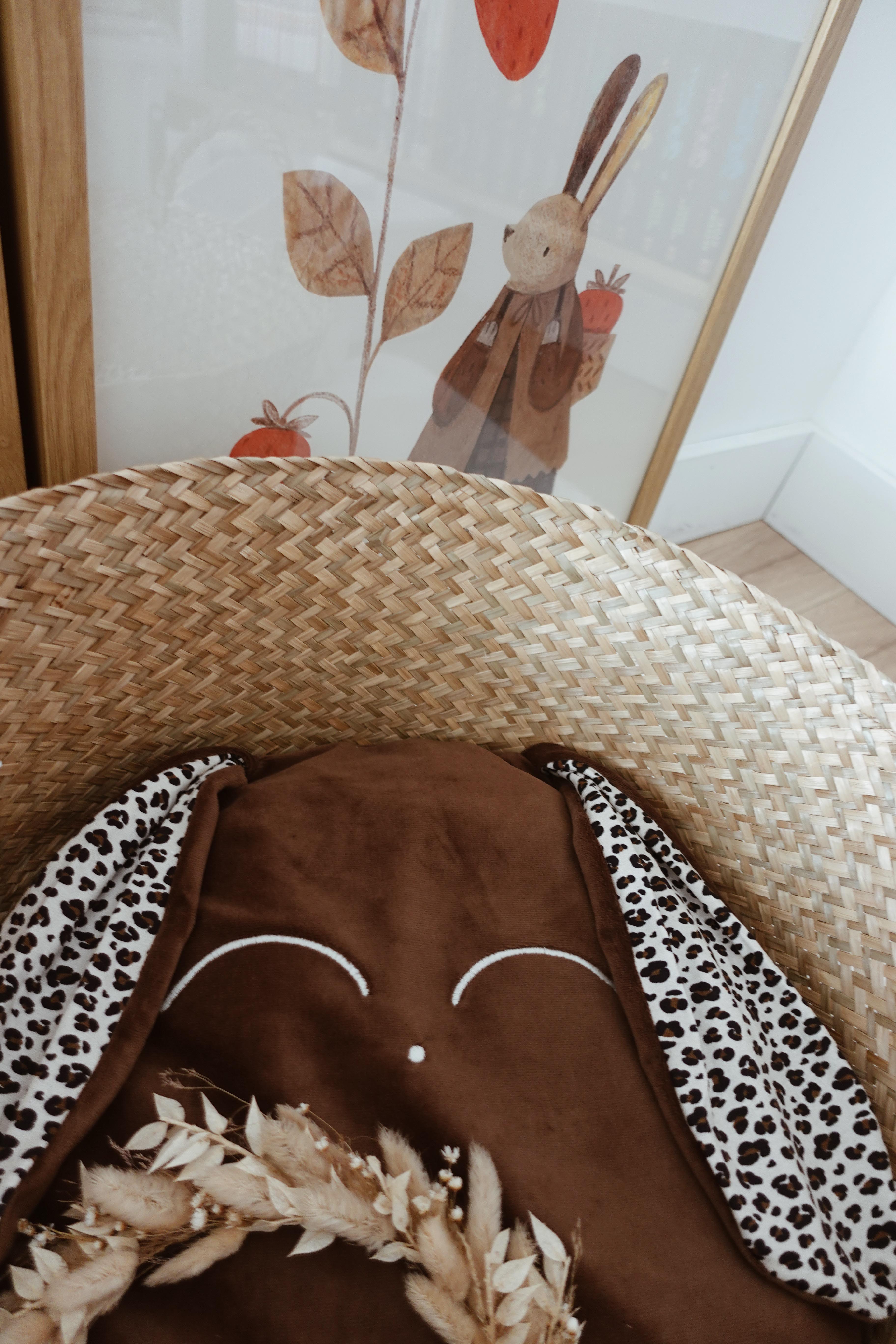 Petit Coussin Velours - Mia