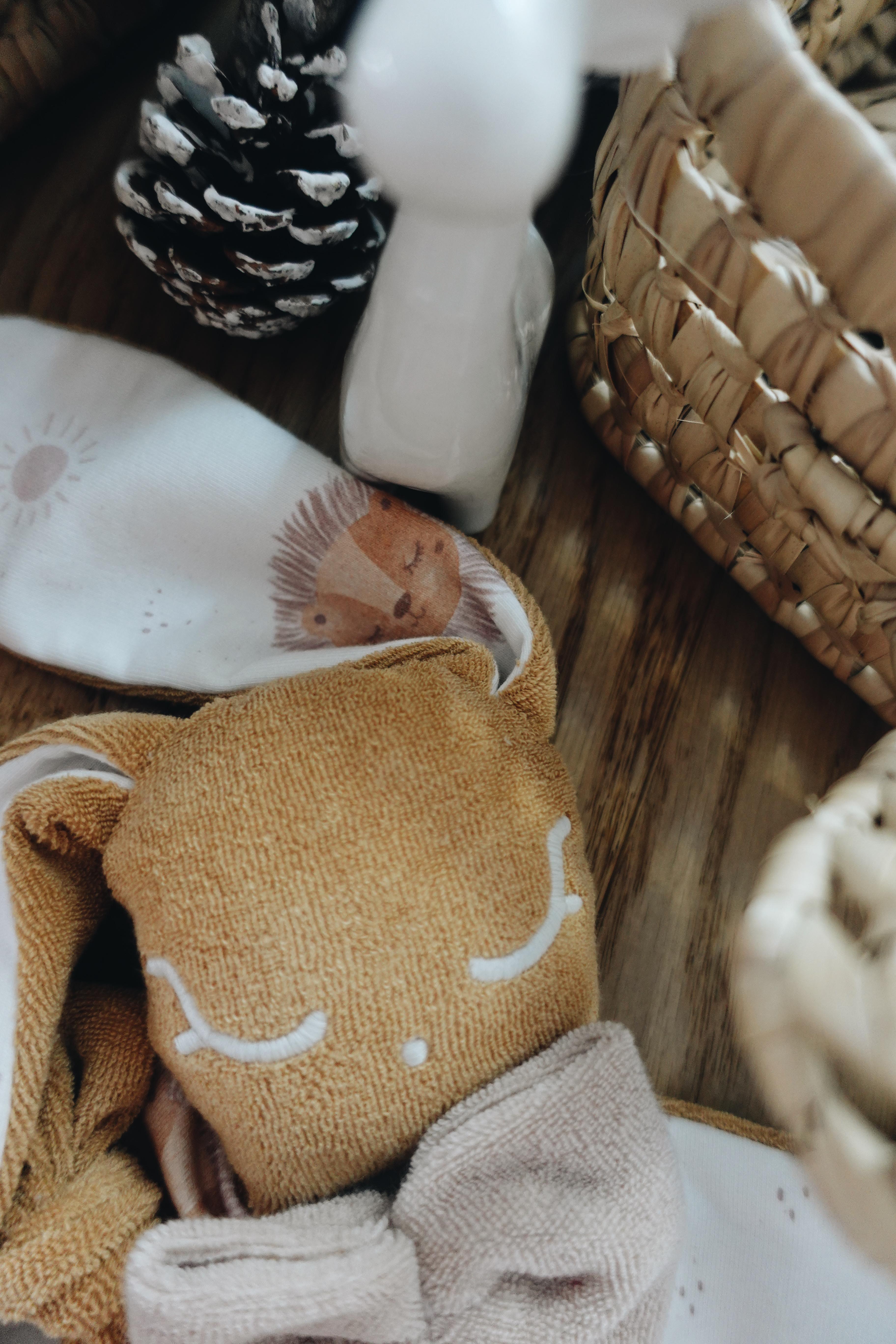 PROTOTYPE - Doudou Eponge Chouchou – Lionceau