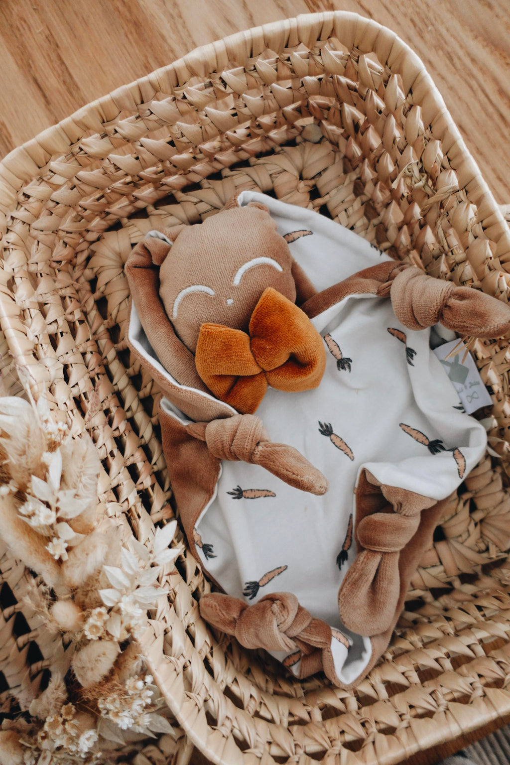 PROTOTYPE - Doudou Velours Chouchou - Carrots