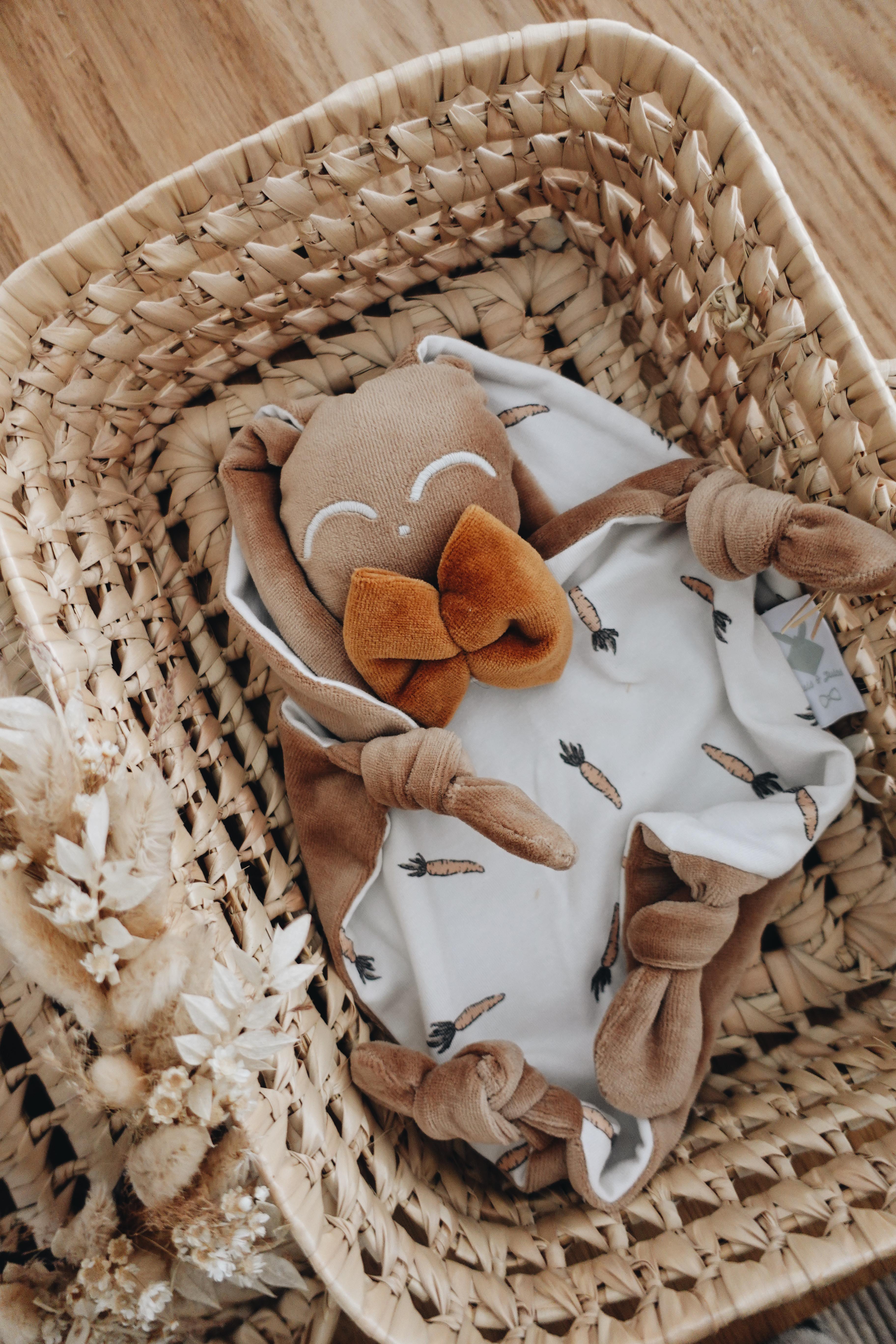 PROTOTYPE - Doudou Velours Chouchou - Carrots