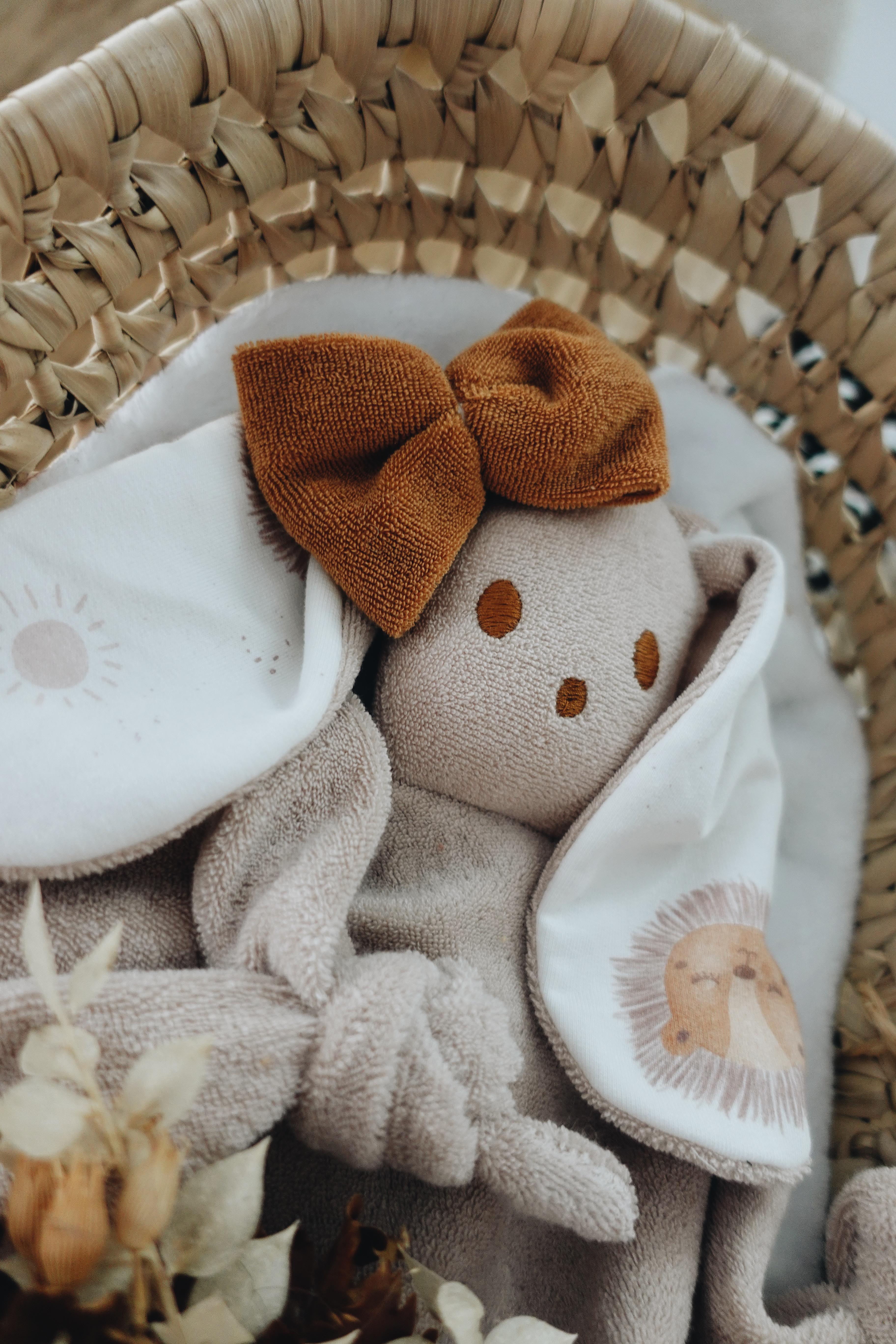 PROTOTYPE - Doudou Eponge Gaufrette - Lionceau