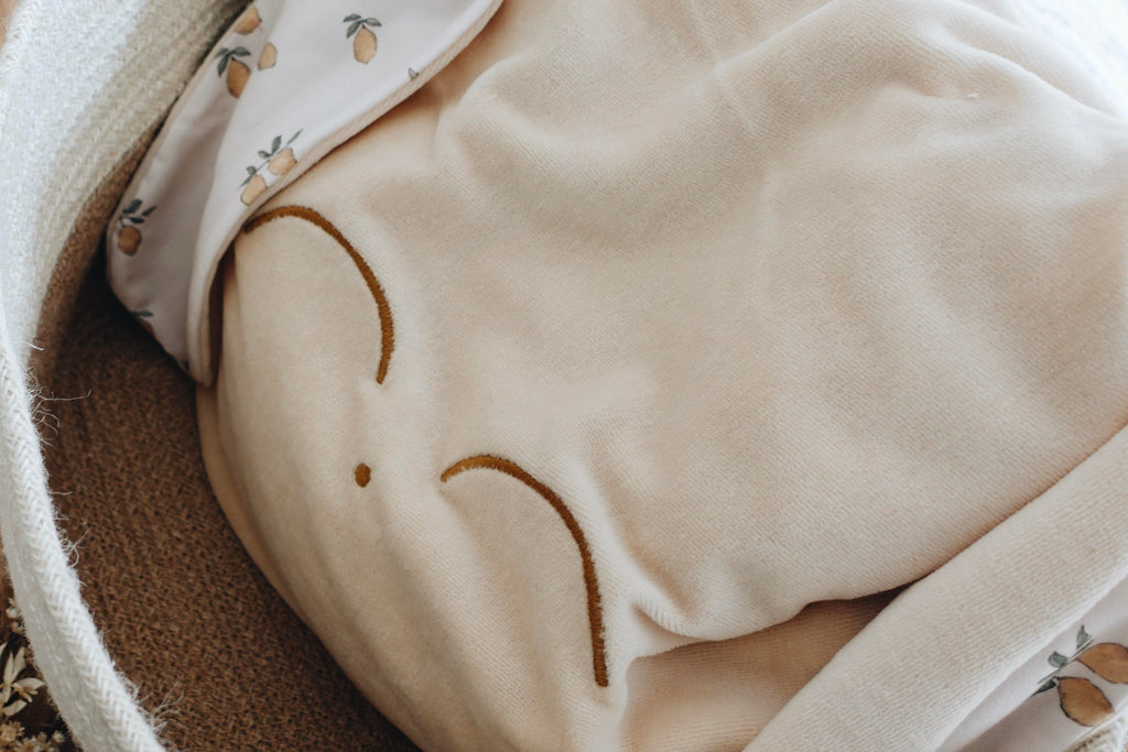 Petit Coussin Velours - Lemons