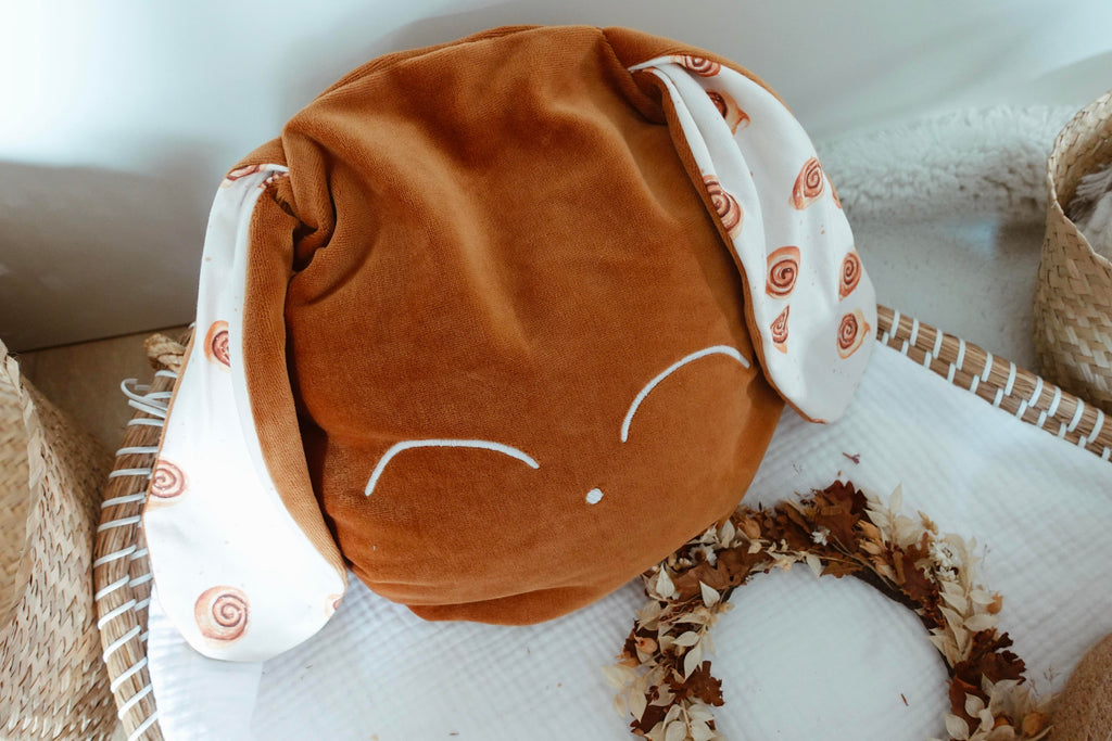 Petit Coussin Velours - Cinammon Rolls
