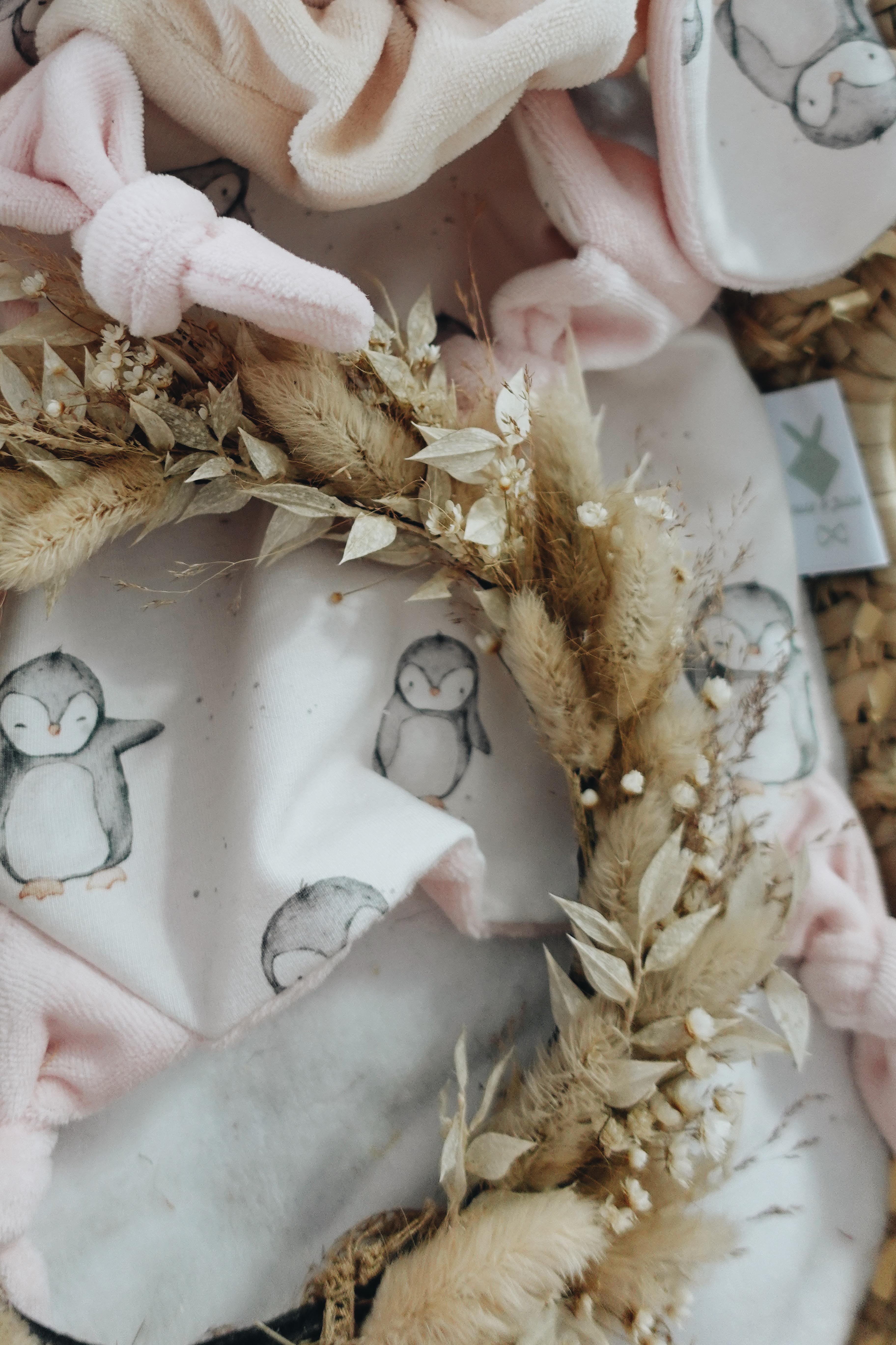 PROTOTYPE - Doudou Velours Chouchou - Pingui