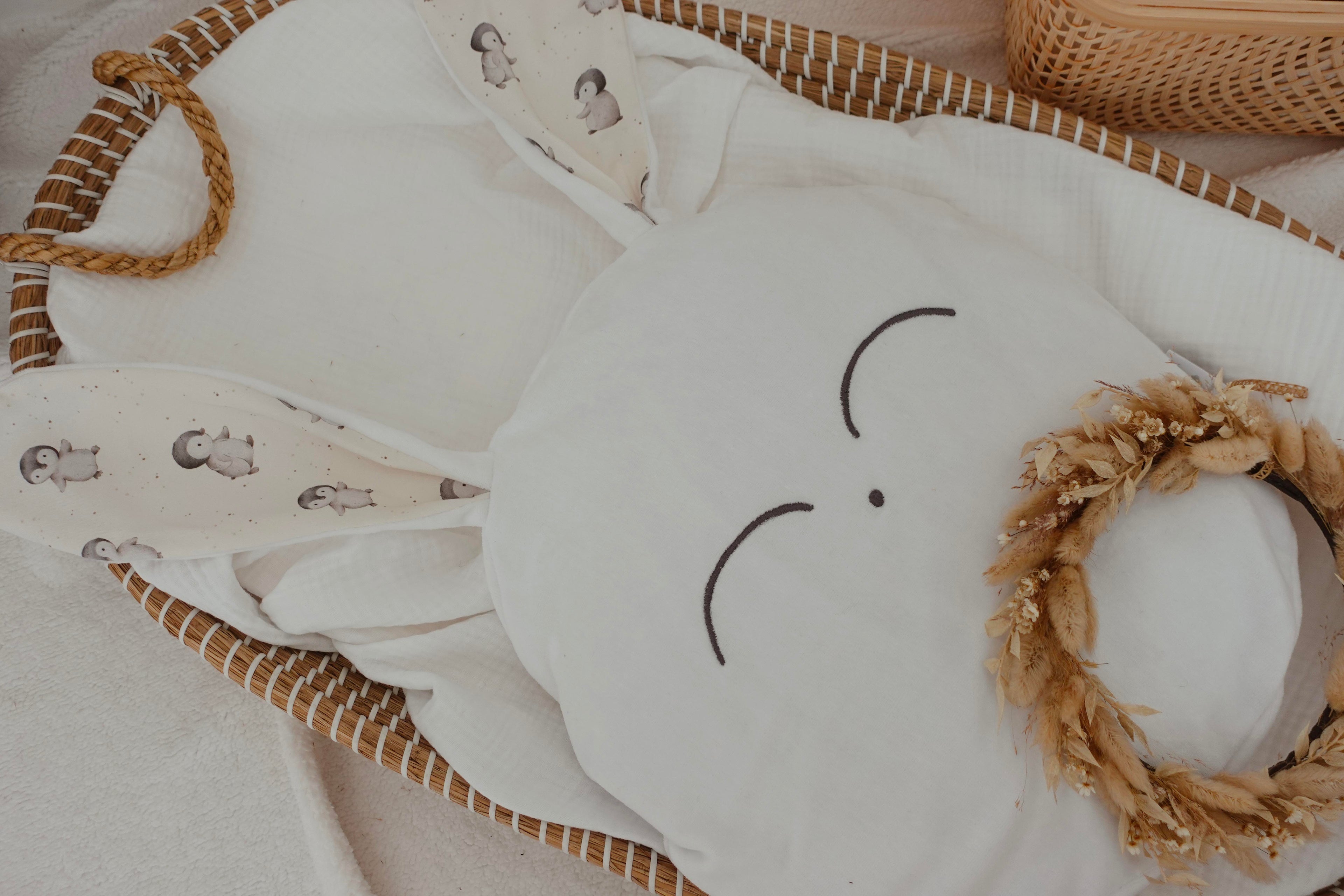 Petit Coussin Velours - Pinguins