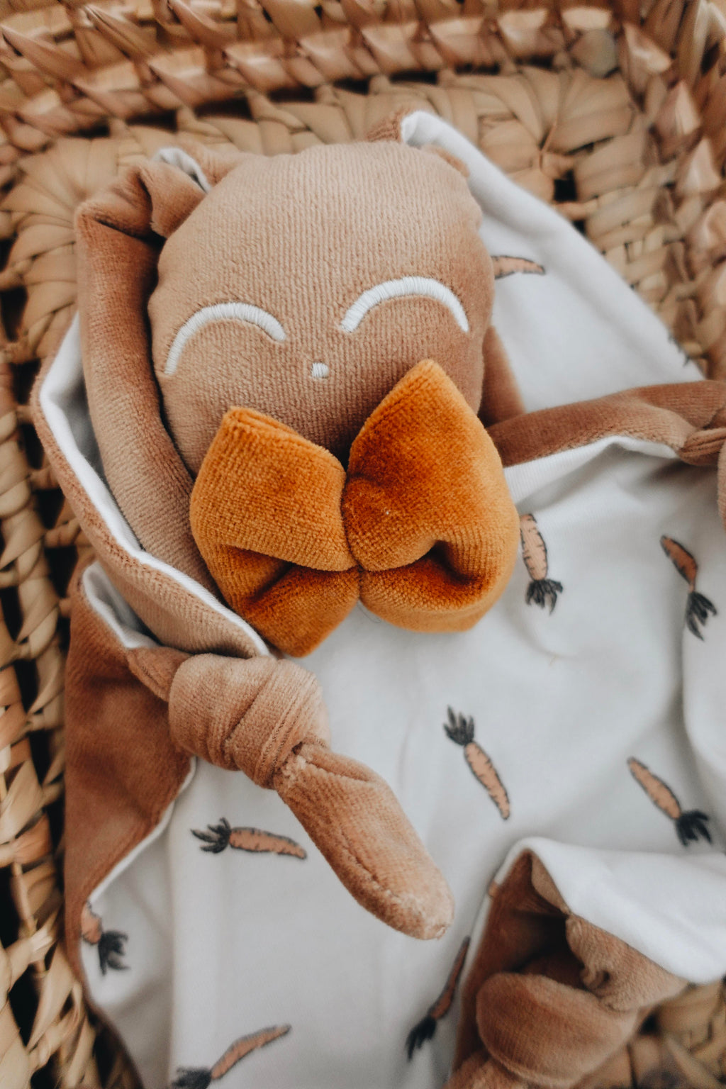 PROTOTYPE - Doudou Velours Chouchou - Carrots